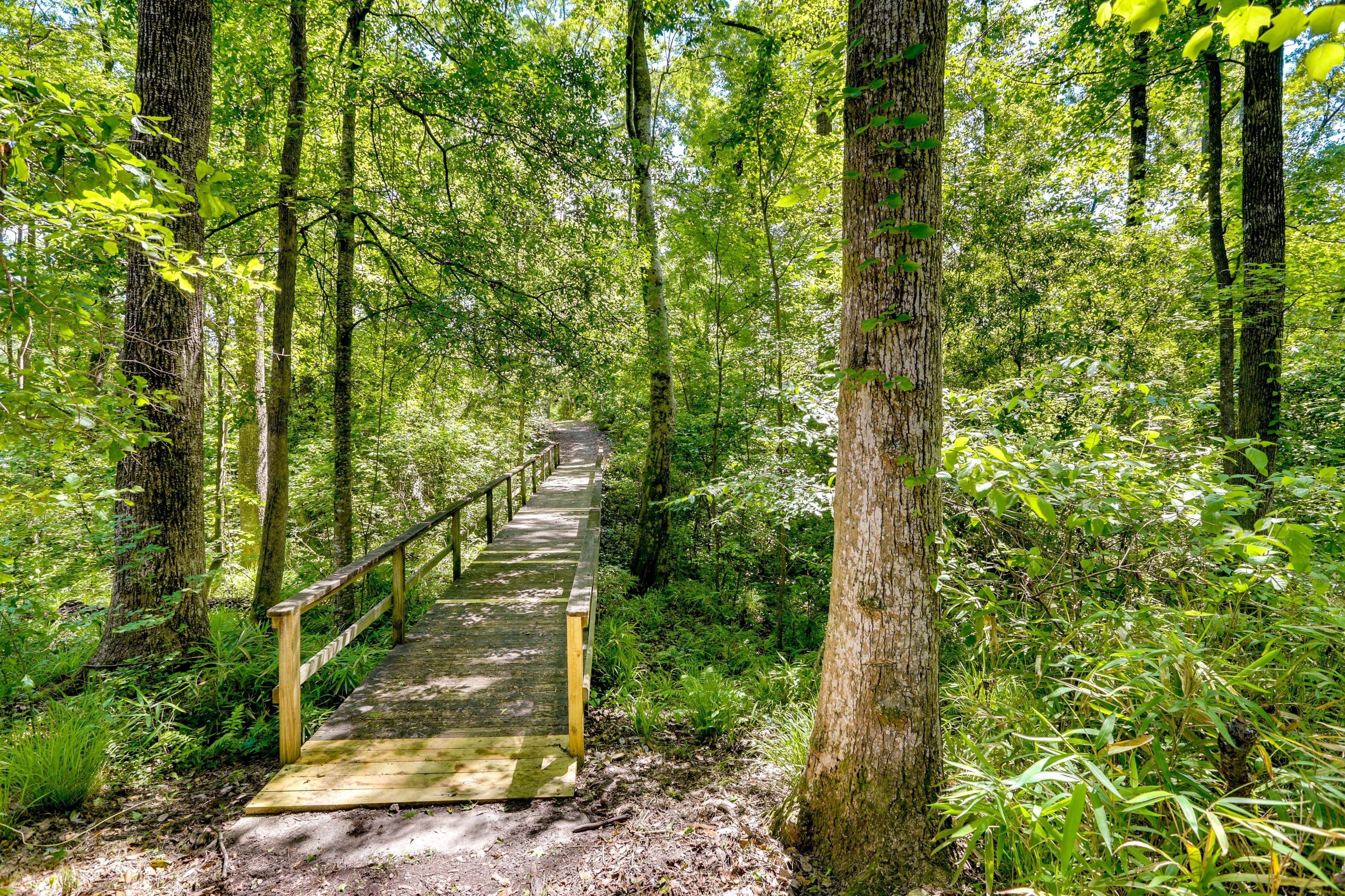 Boat Dock Path