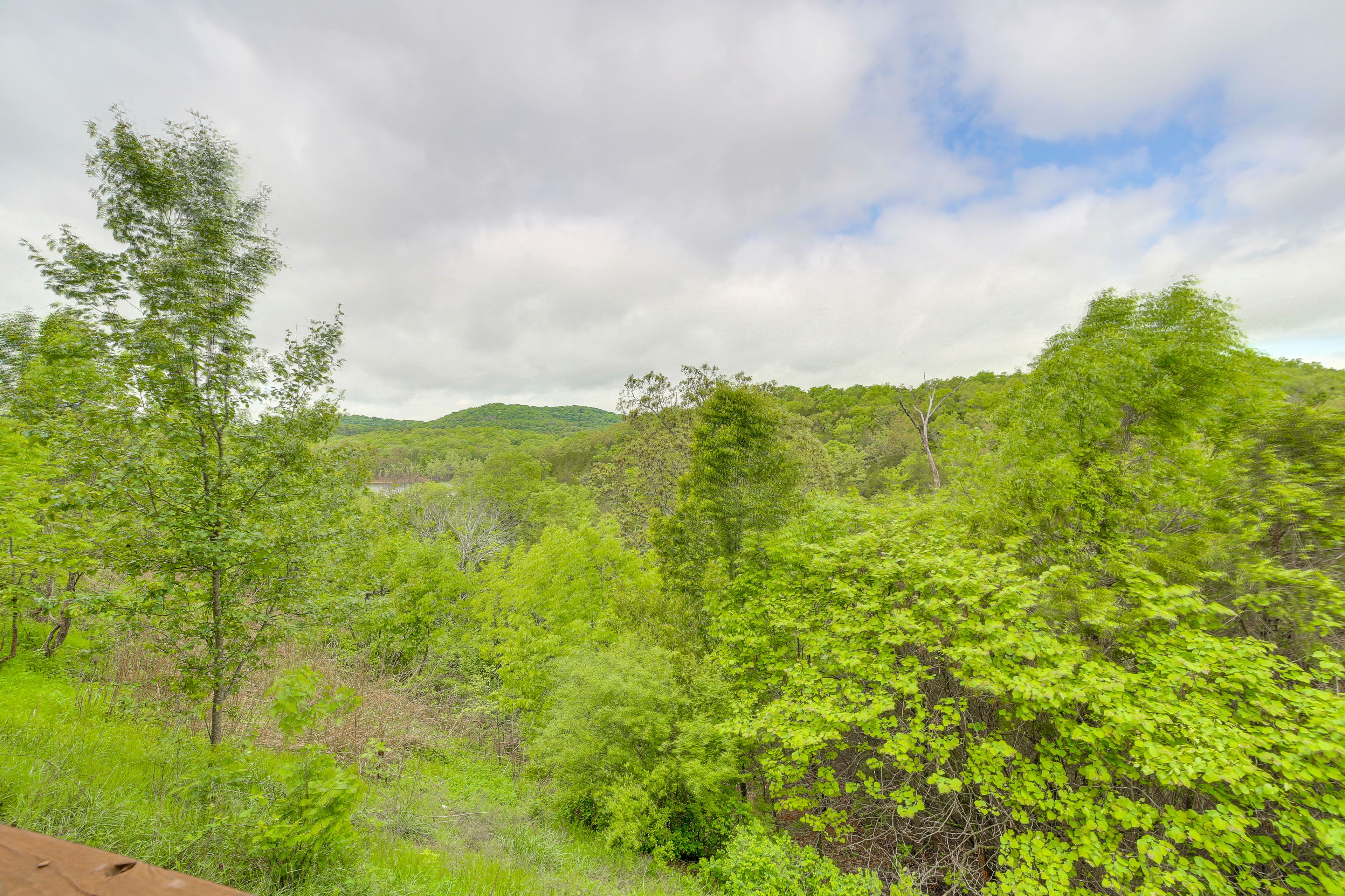 Image 24