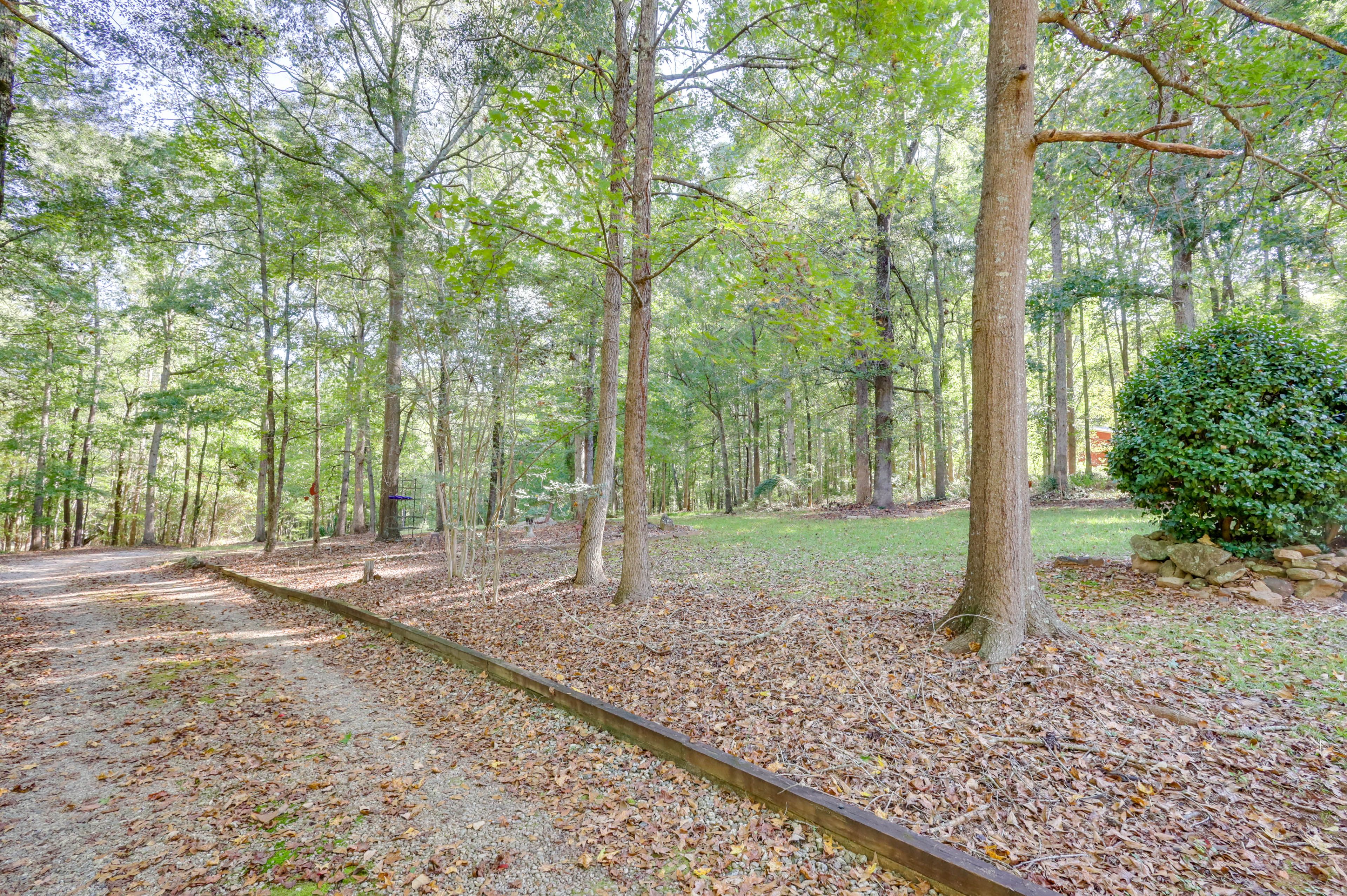 Parking | Driveway (10 Vehicles)