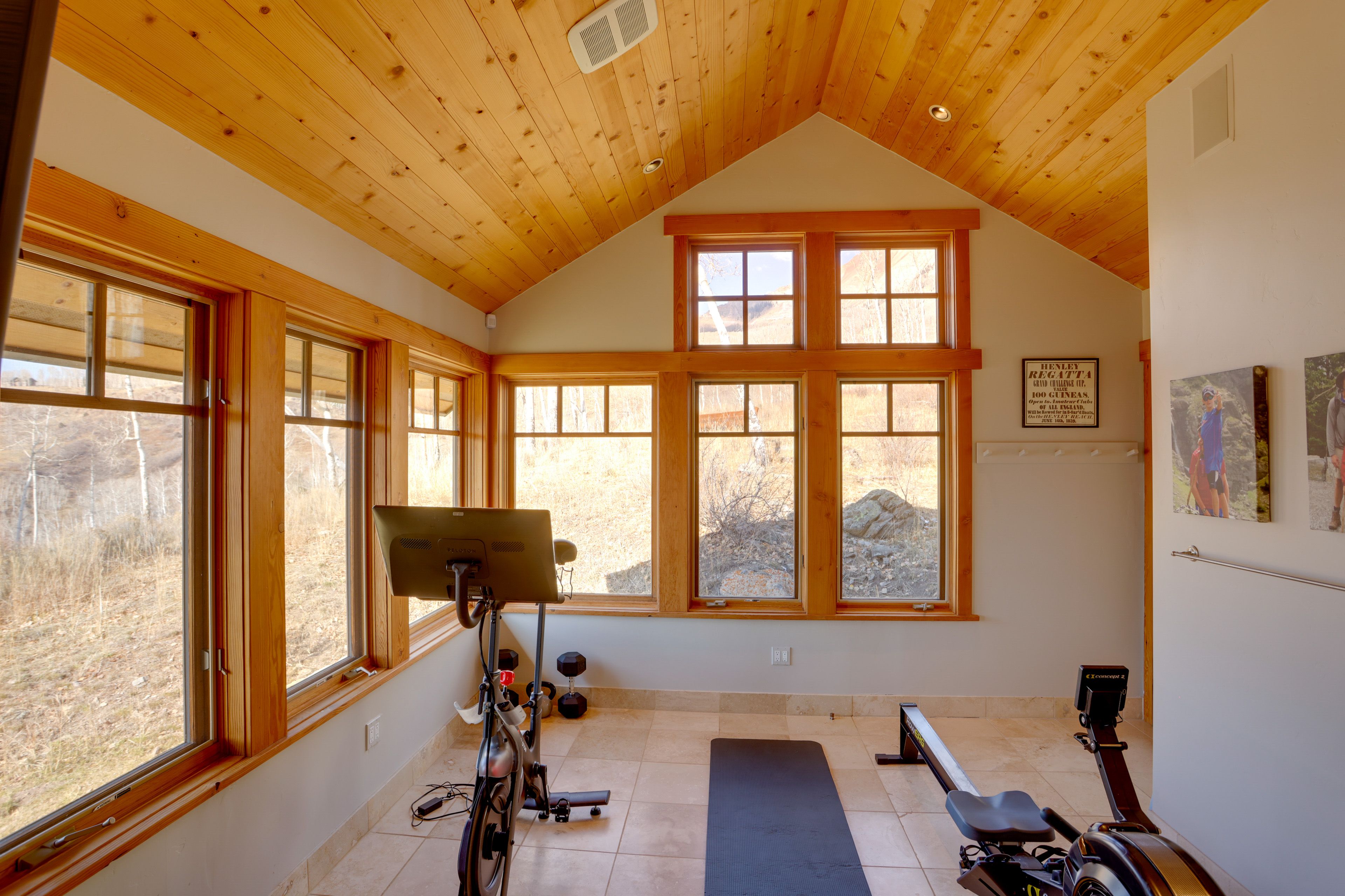 Home Gym | Peloton | Rower | Smart TV