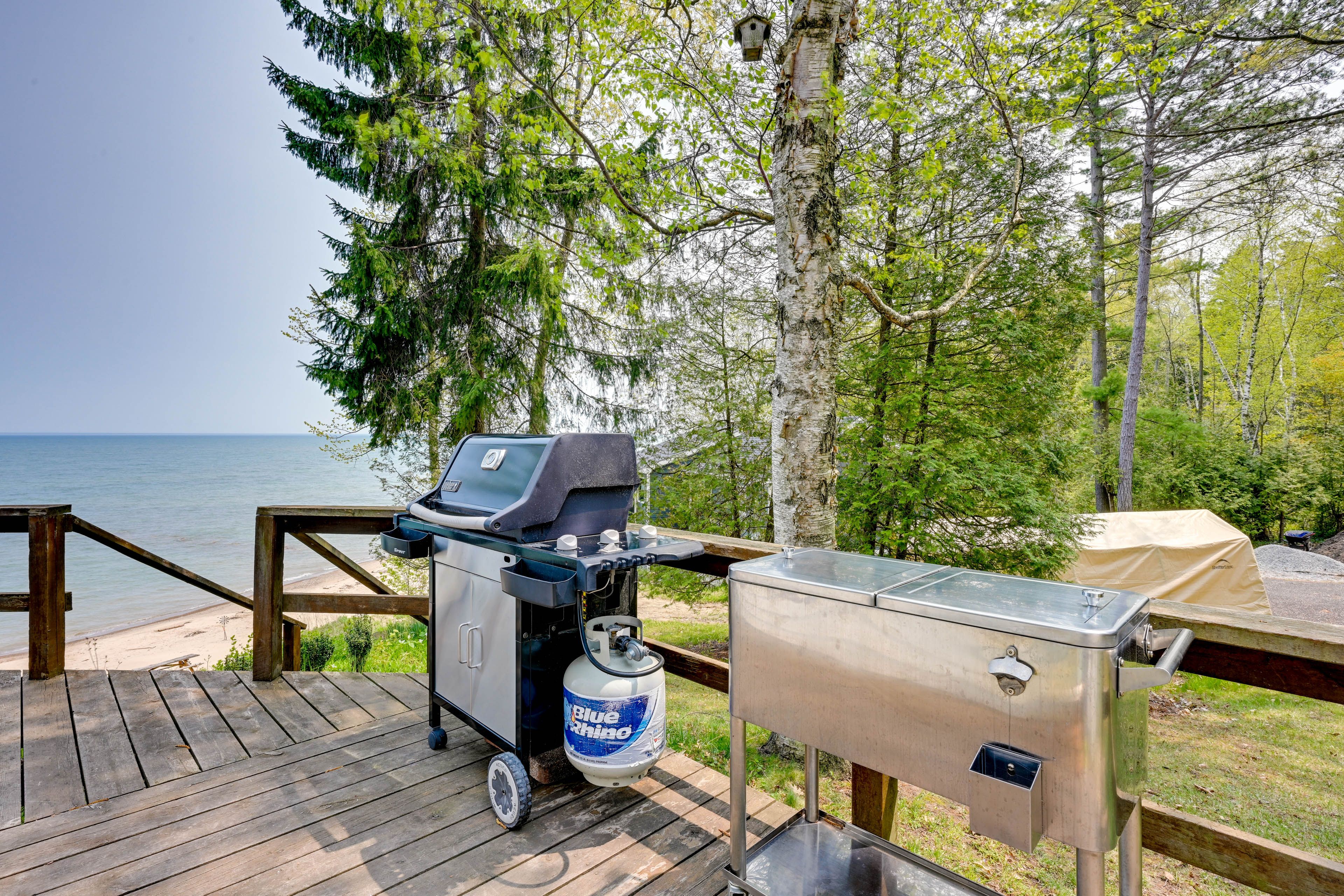 Deck | Gas Grill