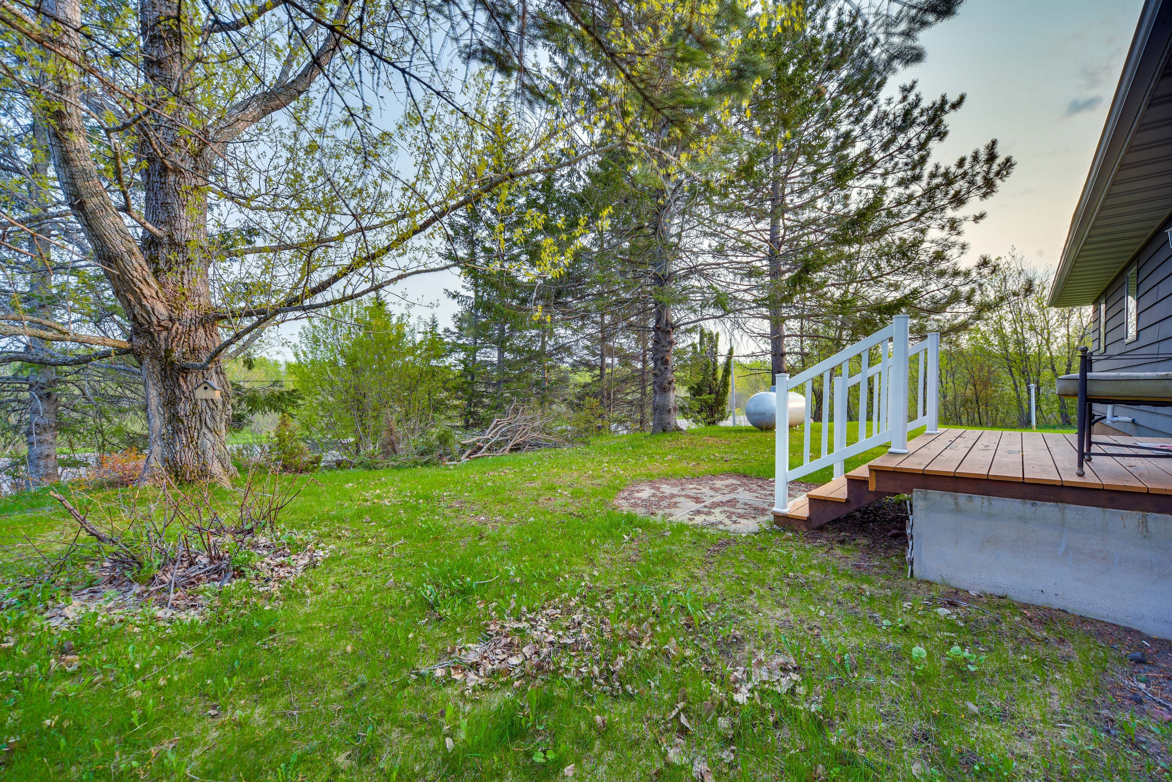 Backyard | Grill