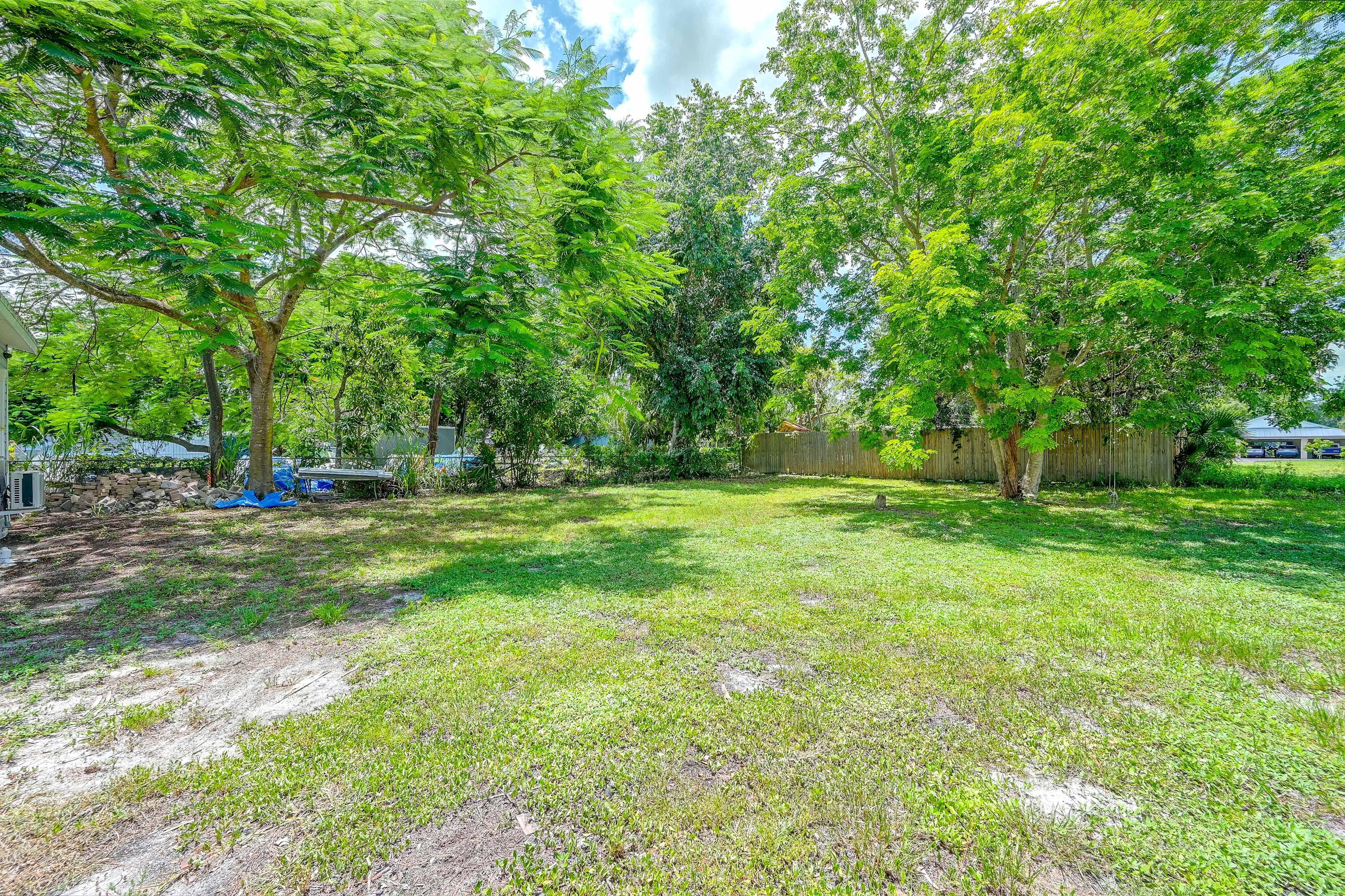 Backyard