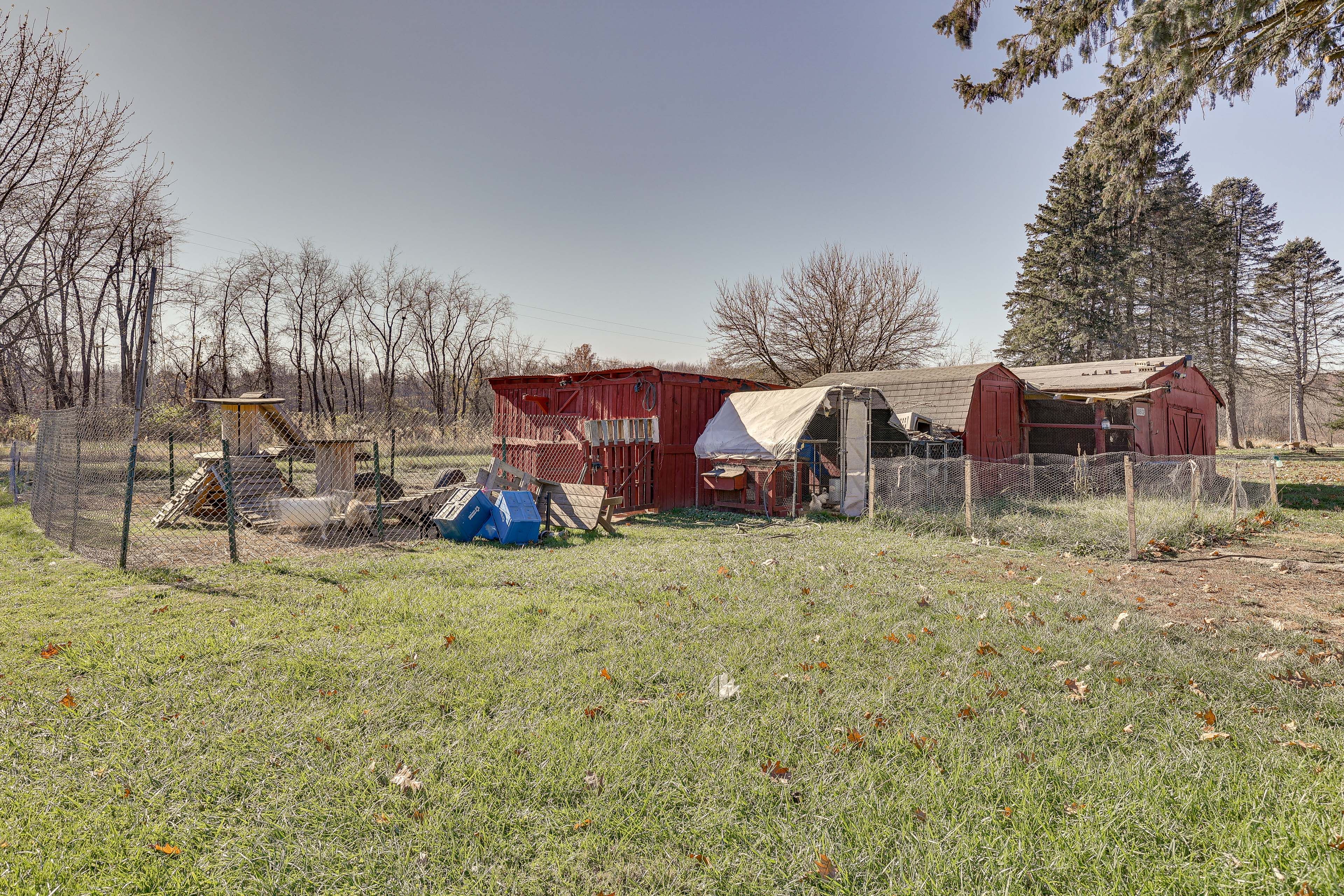 Farm Animals On-Site