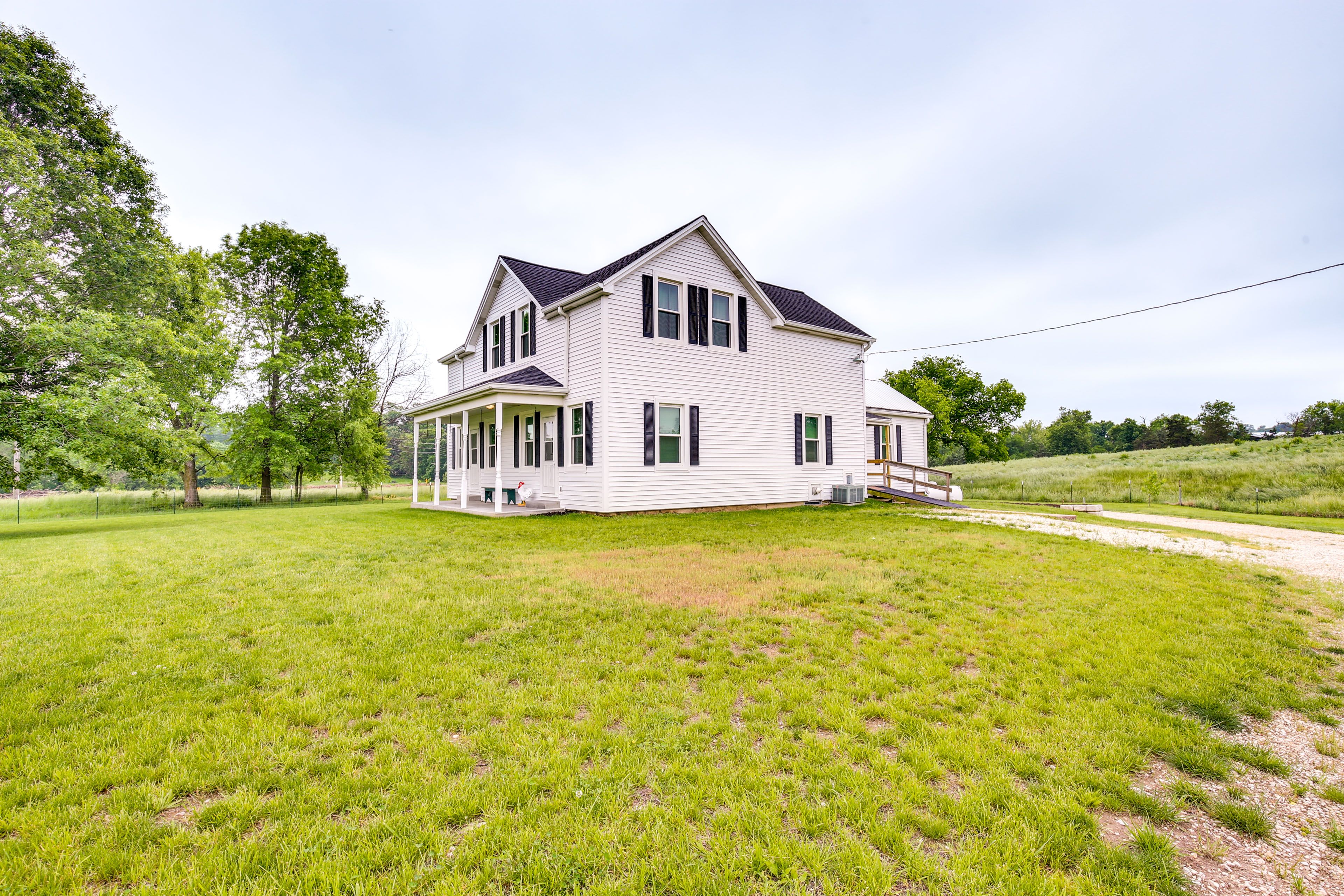 Large, Open Backyard