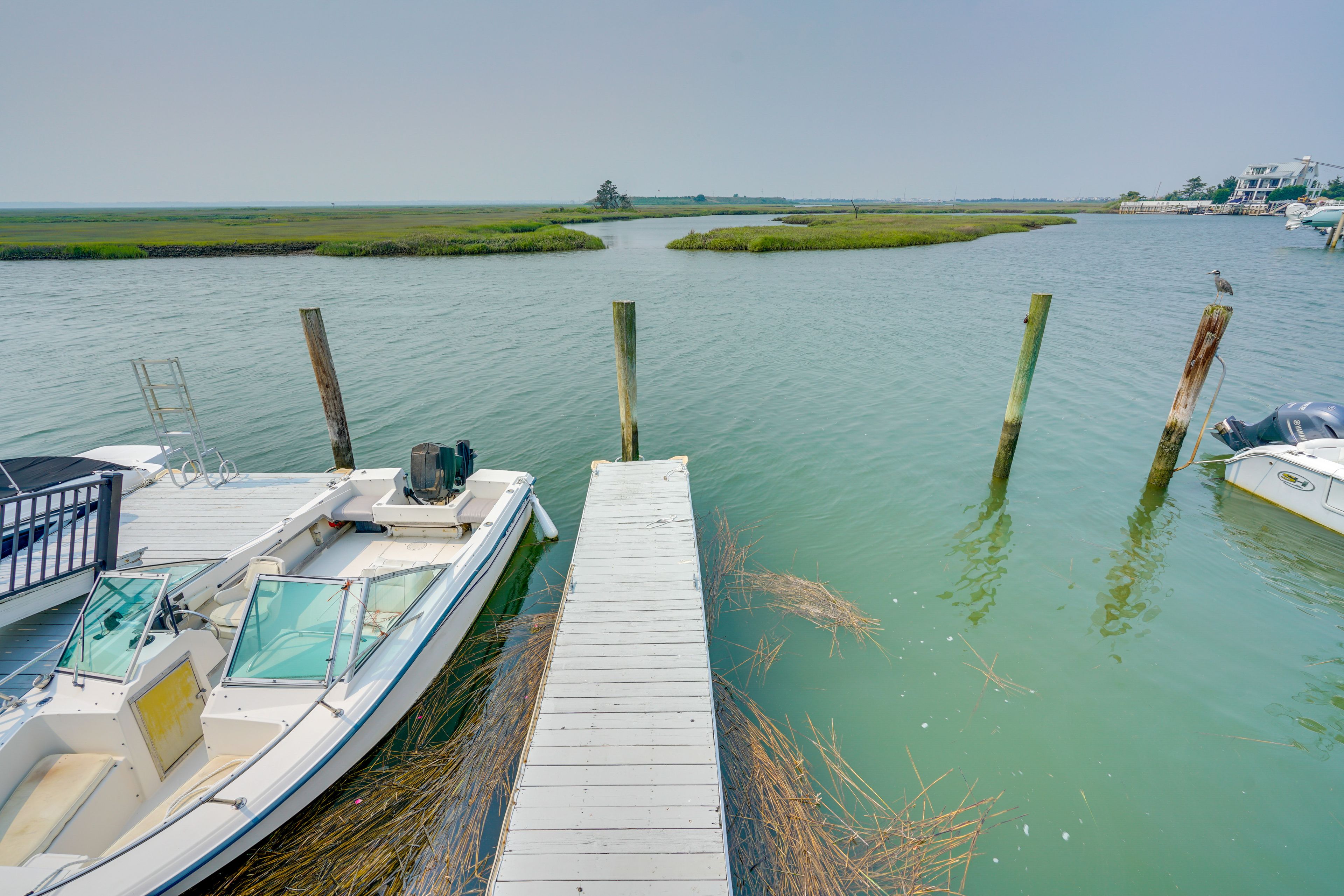 Shared Boat Dock | Kayaks | Water Toys