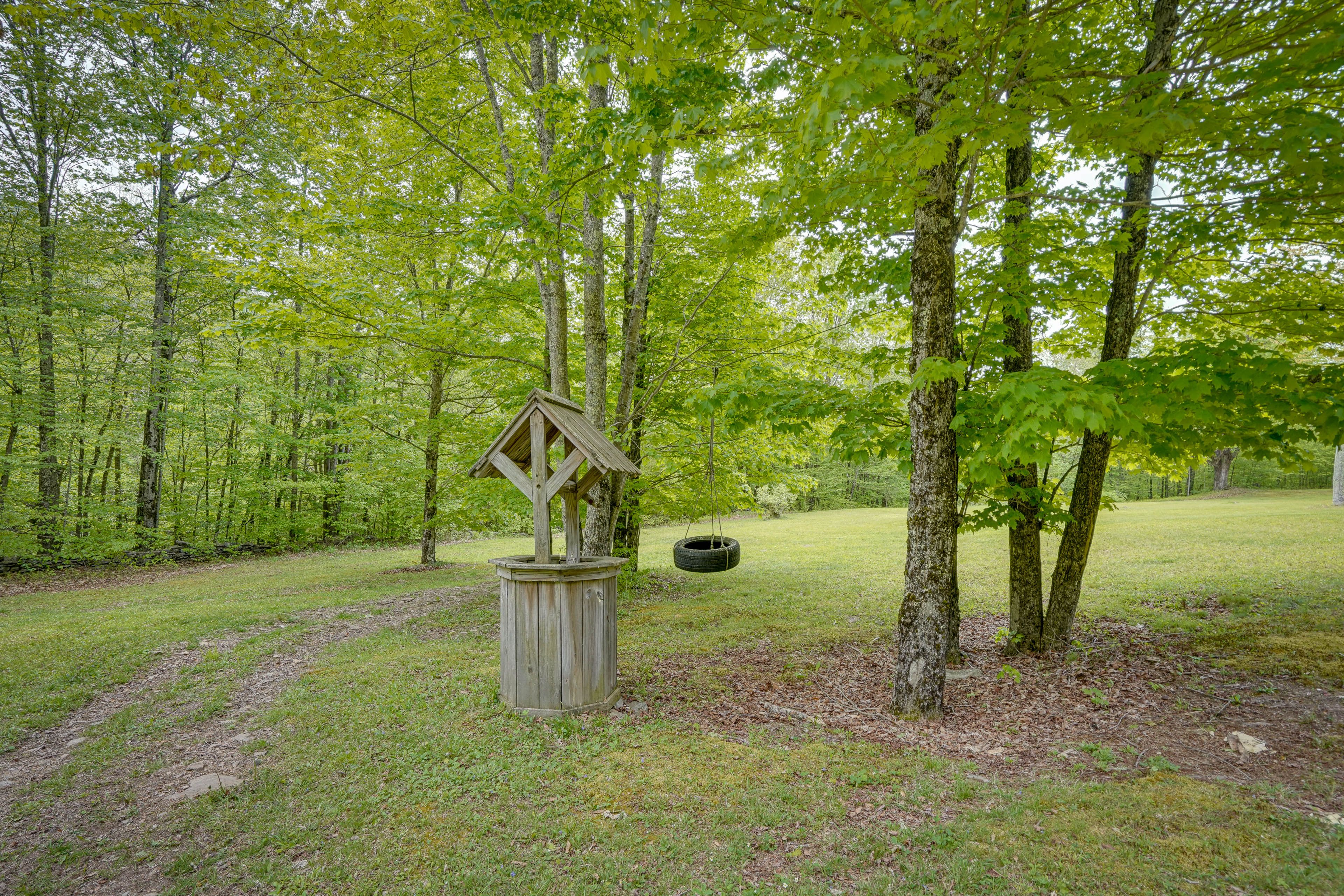 Image 26