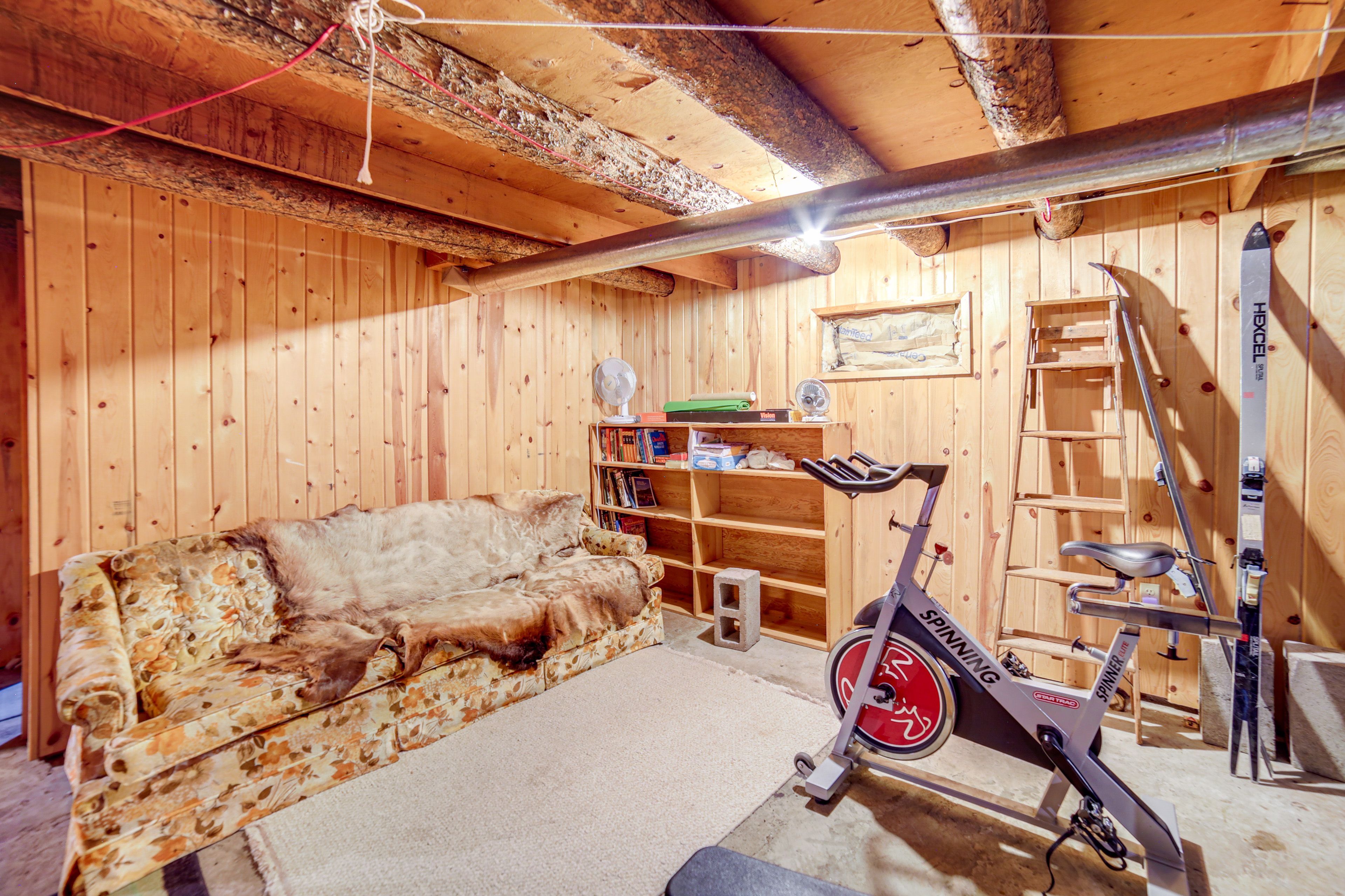Basement Living Area | Exercise Bike