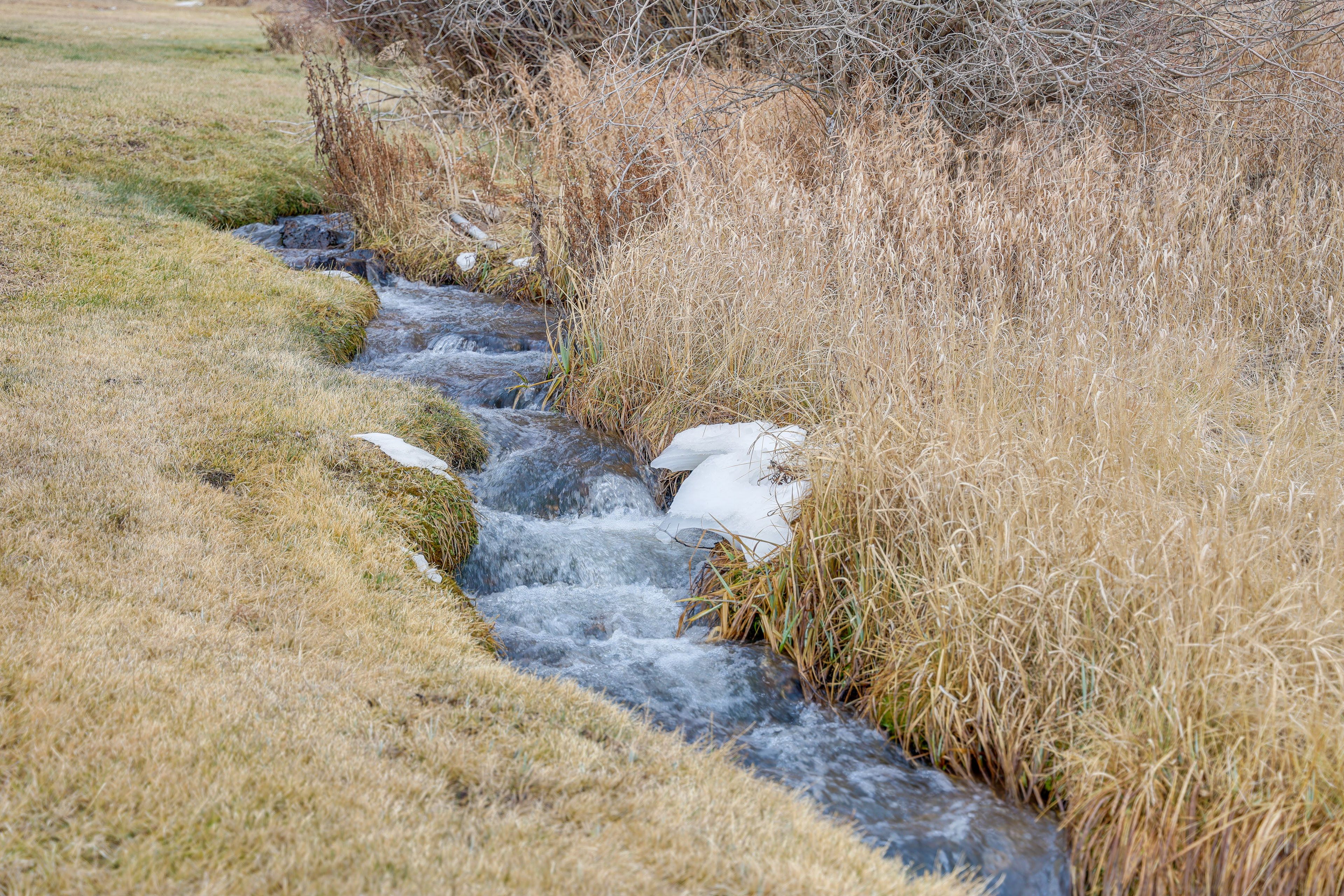 Creek Access (On-Site)