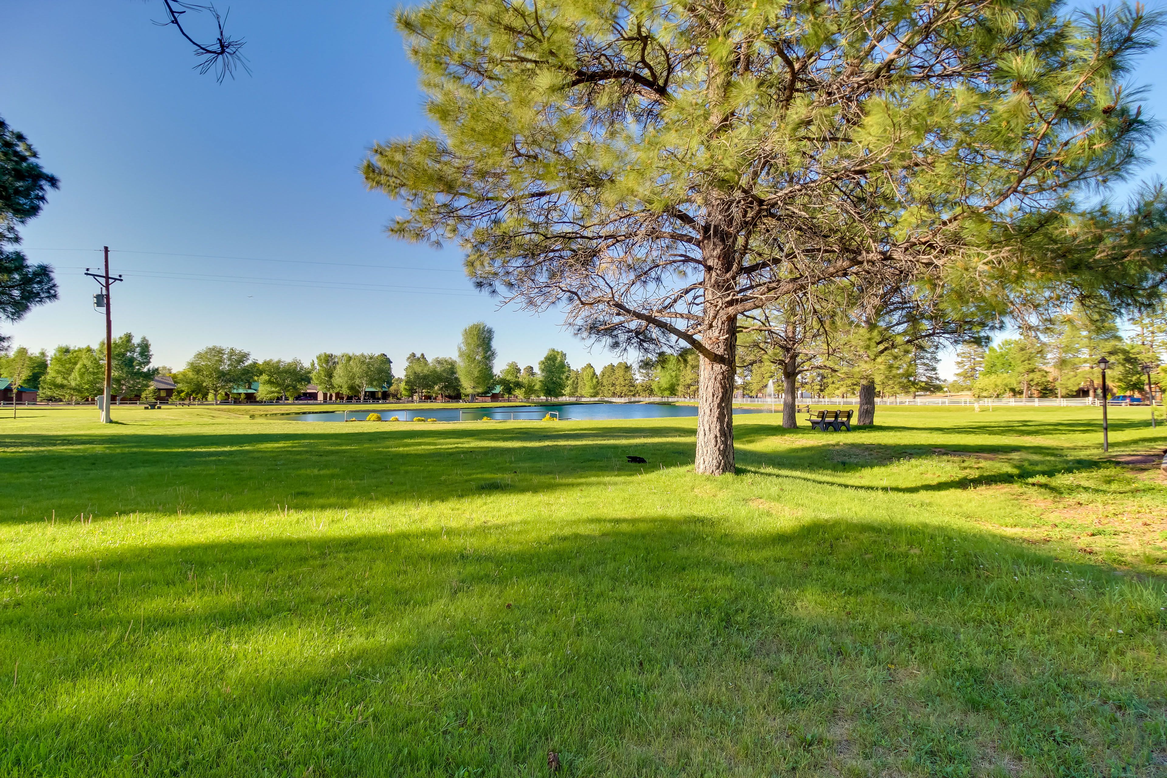 Catch-and-Release Fishing Pond