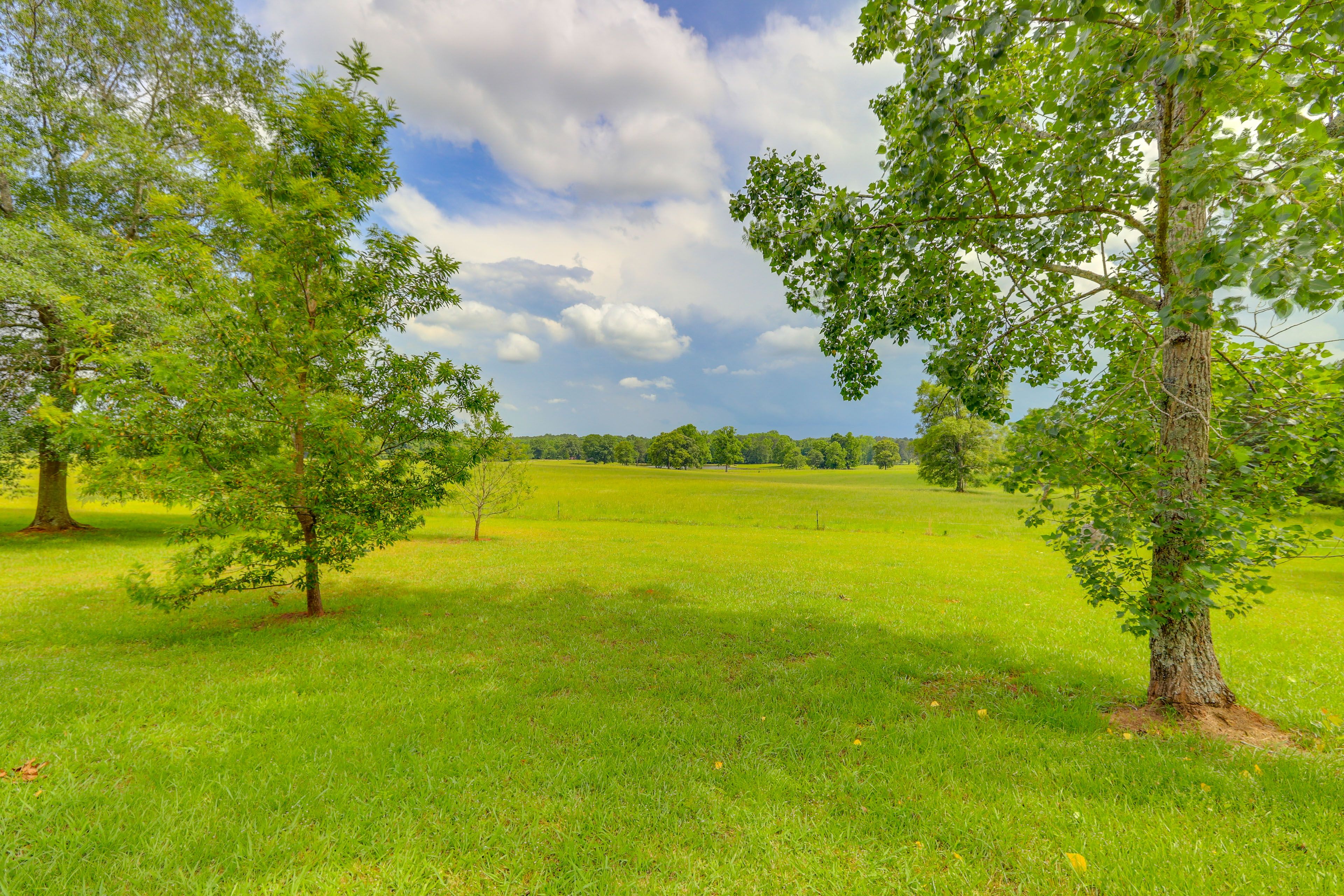 Landscape View