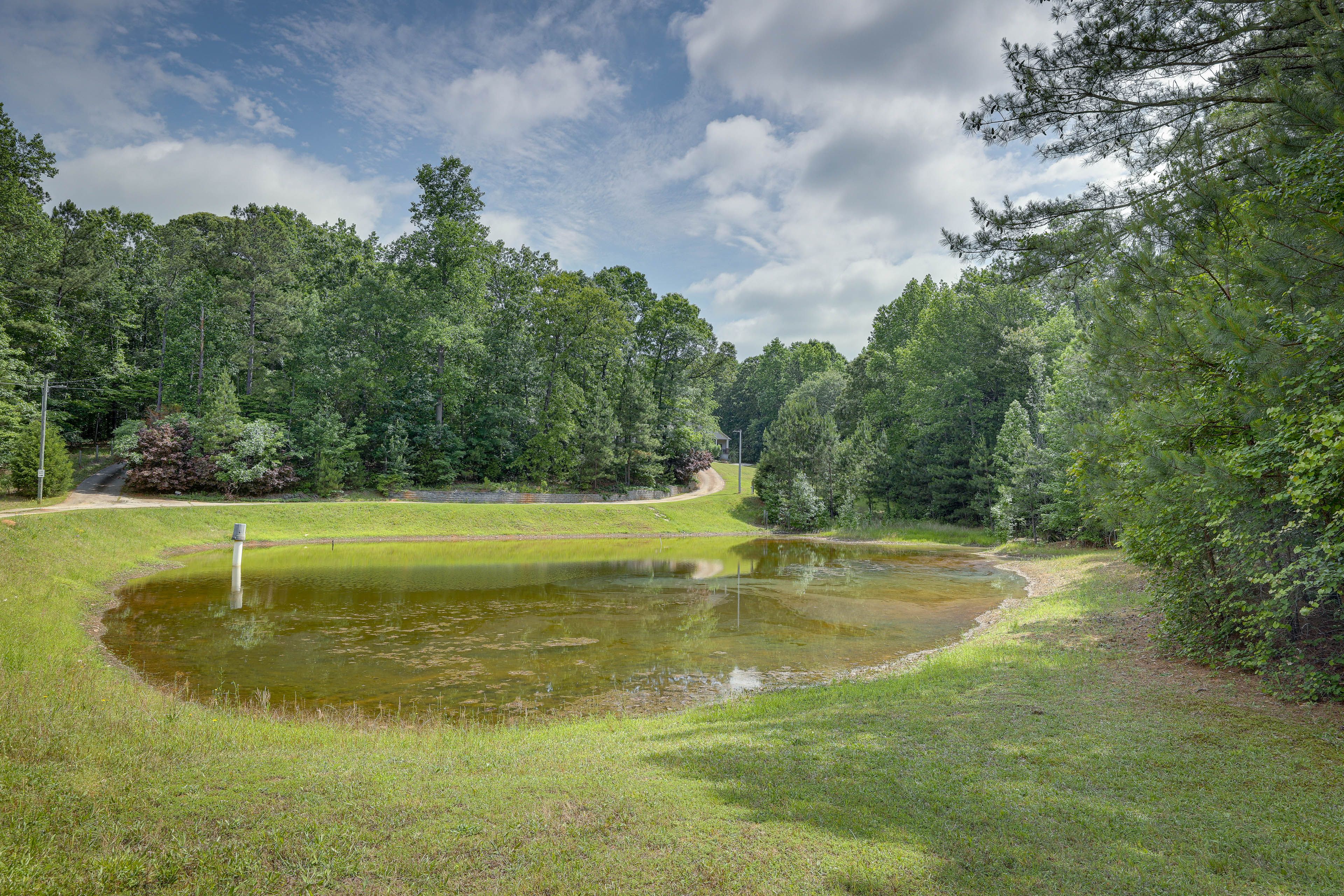 Pond On-Site