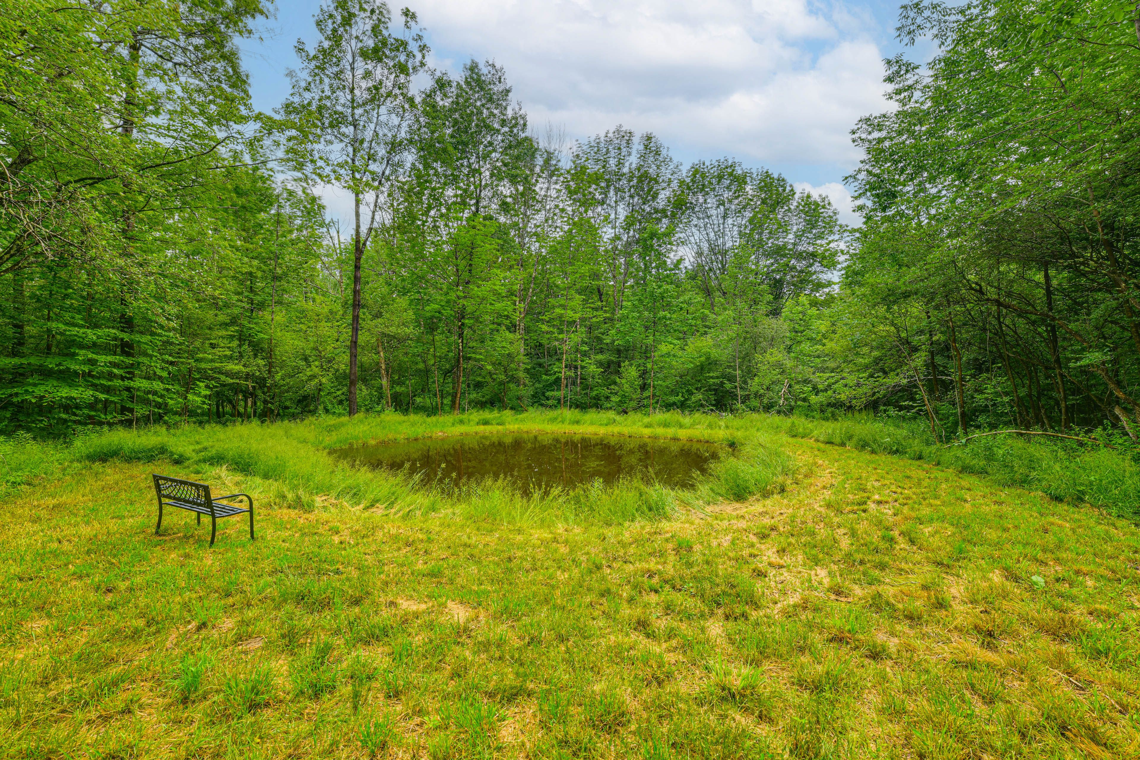 On-Site Pond