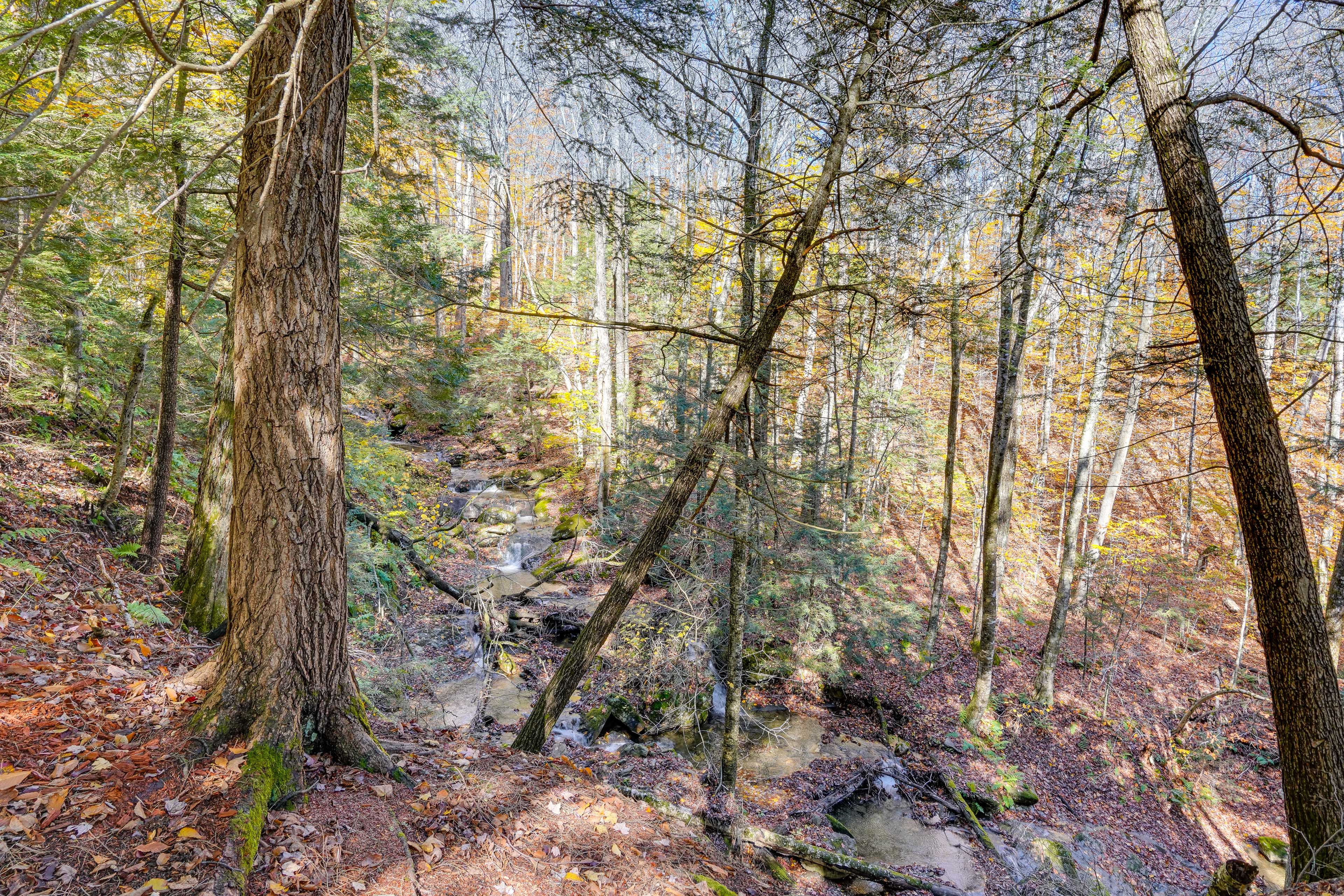 Yard | On-Site Creek