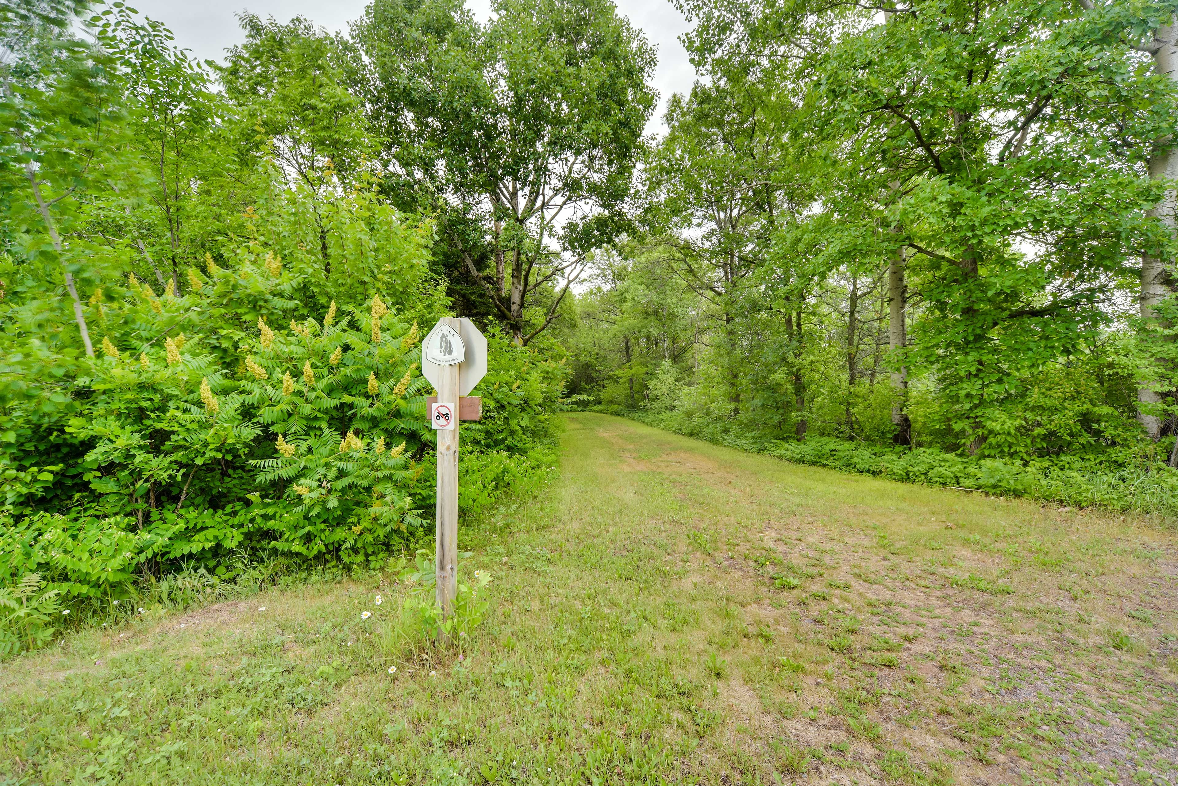 Property Surroundings