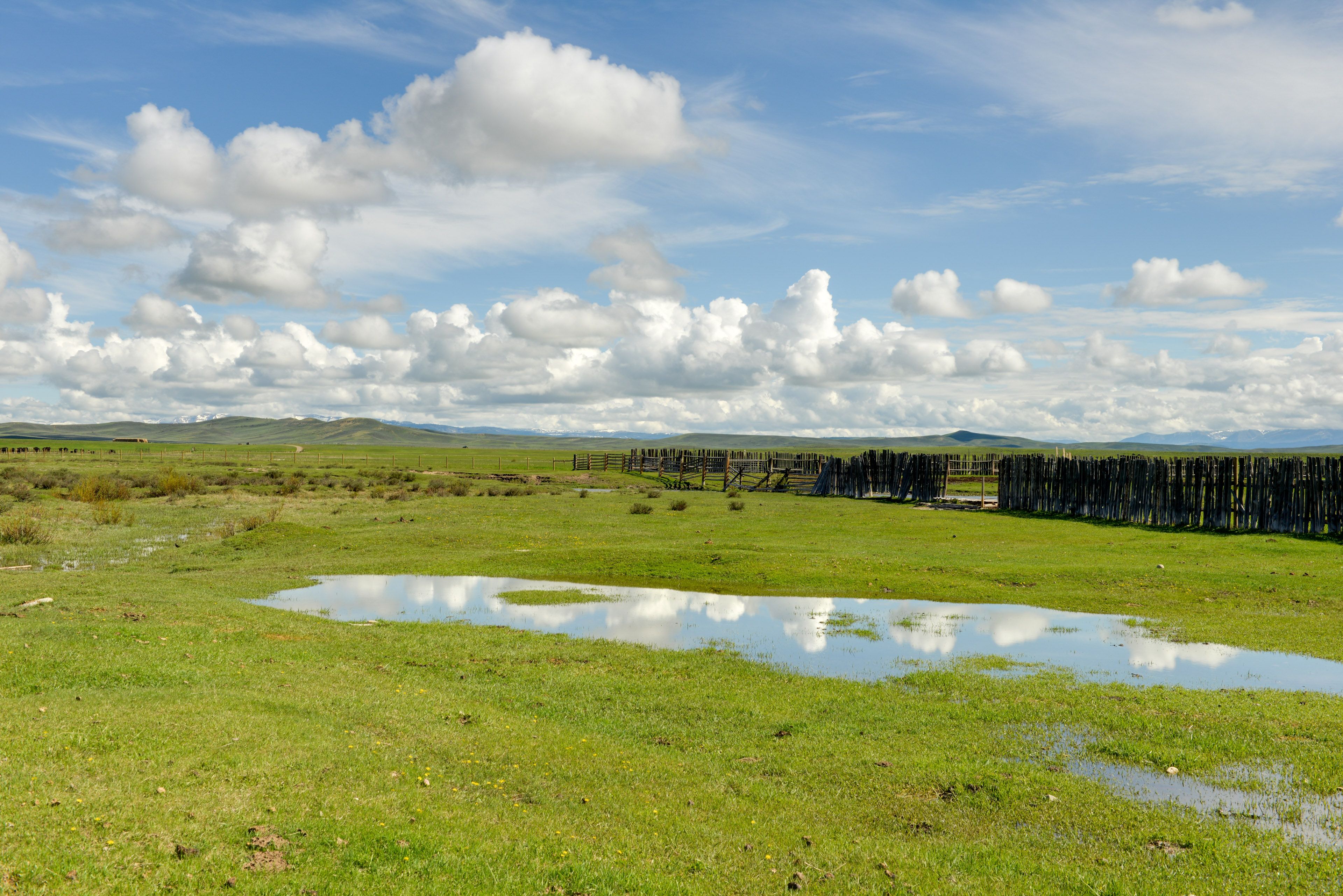 Property Views