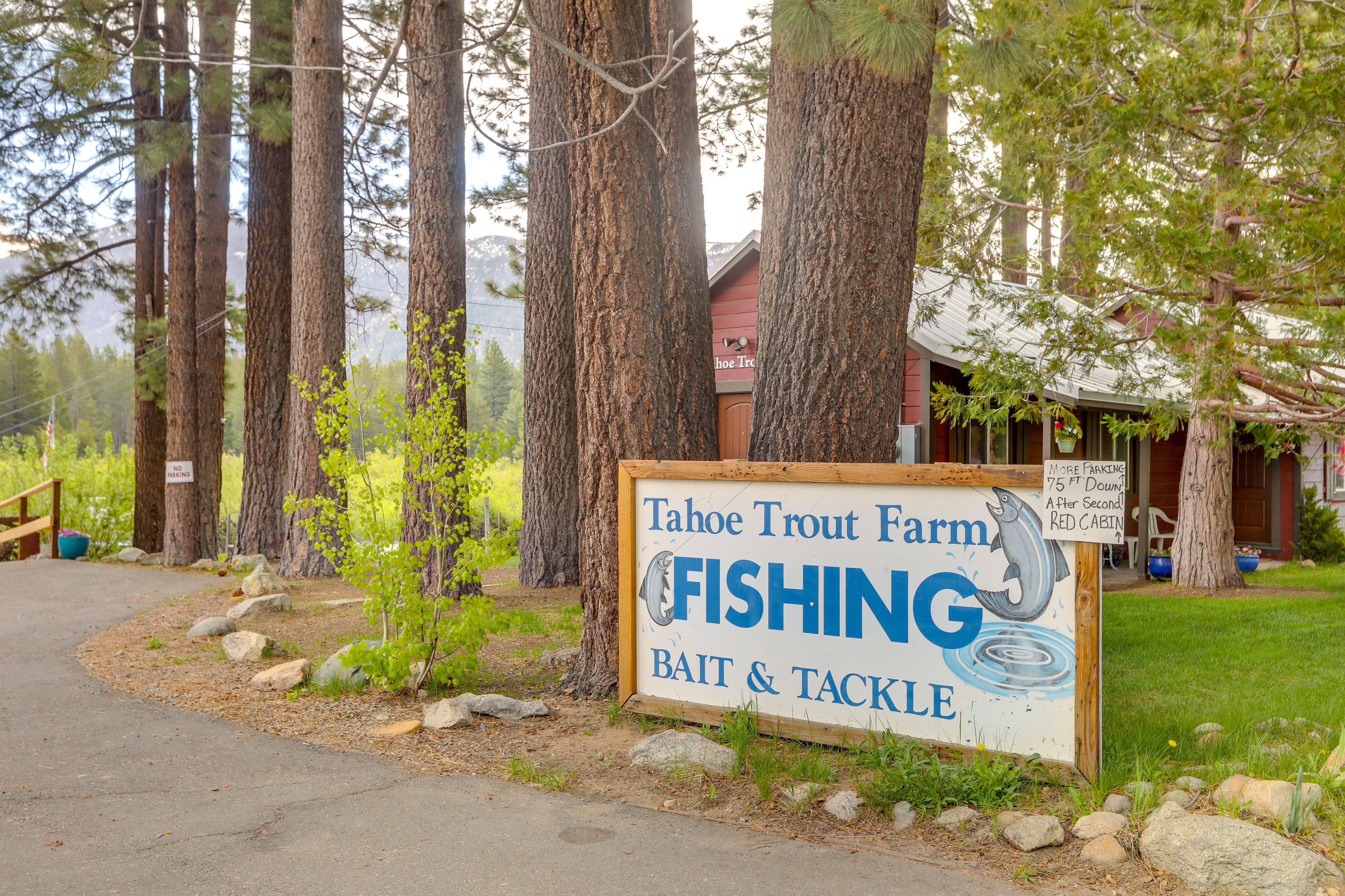 Trout Fishing Farm (0.3 Miles Away)