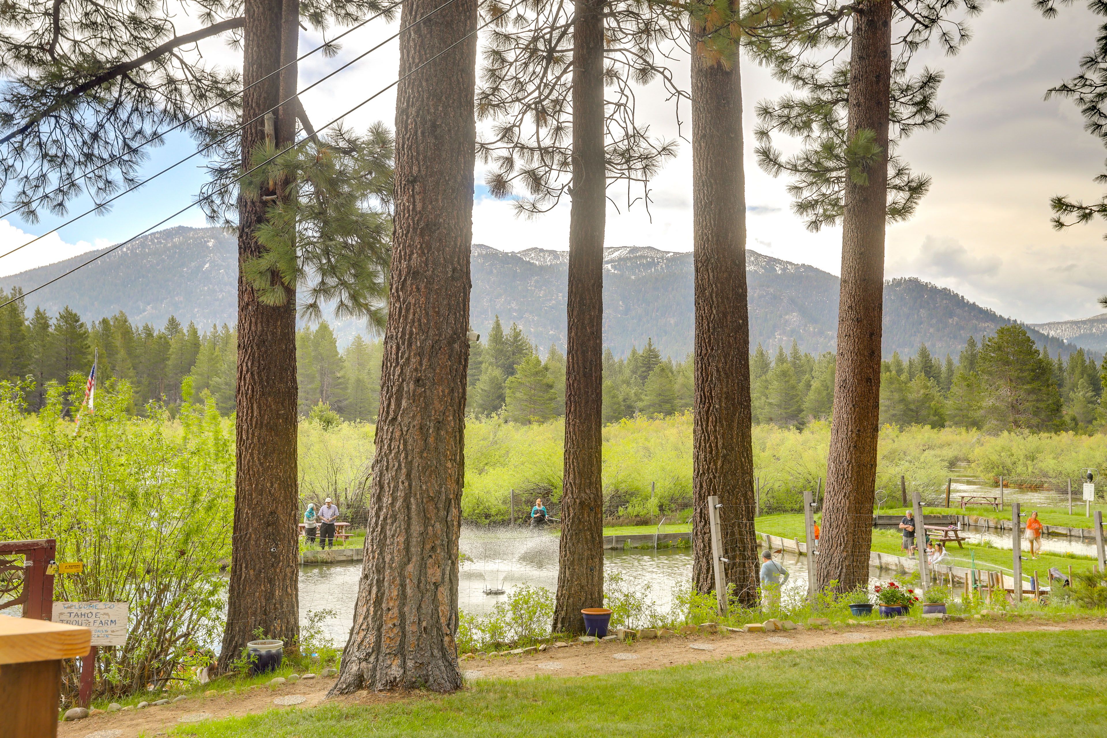 Trout Fishing Farm (0.3 Miles Away)
