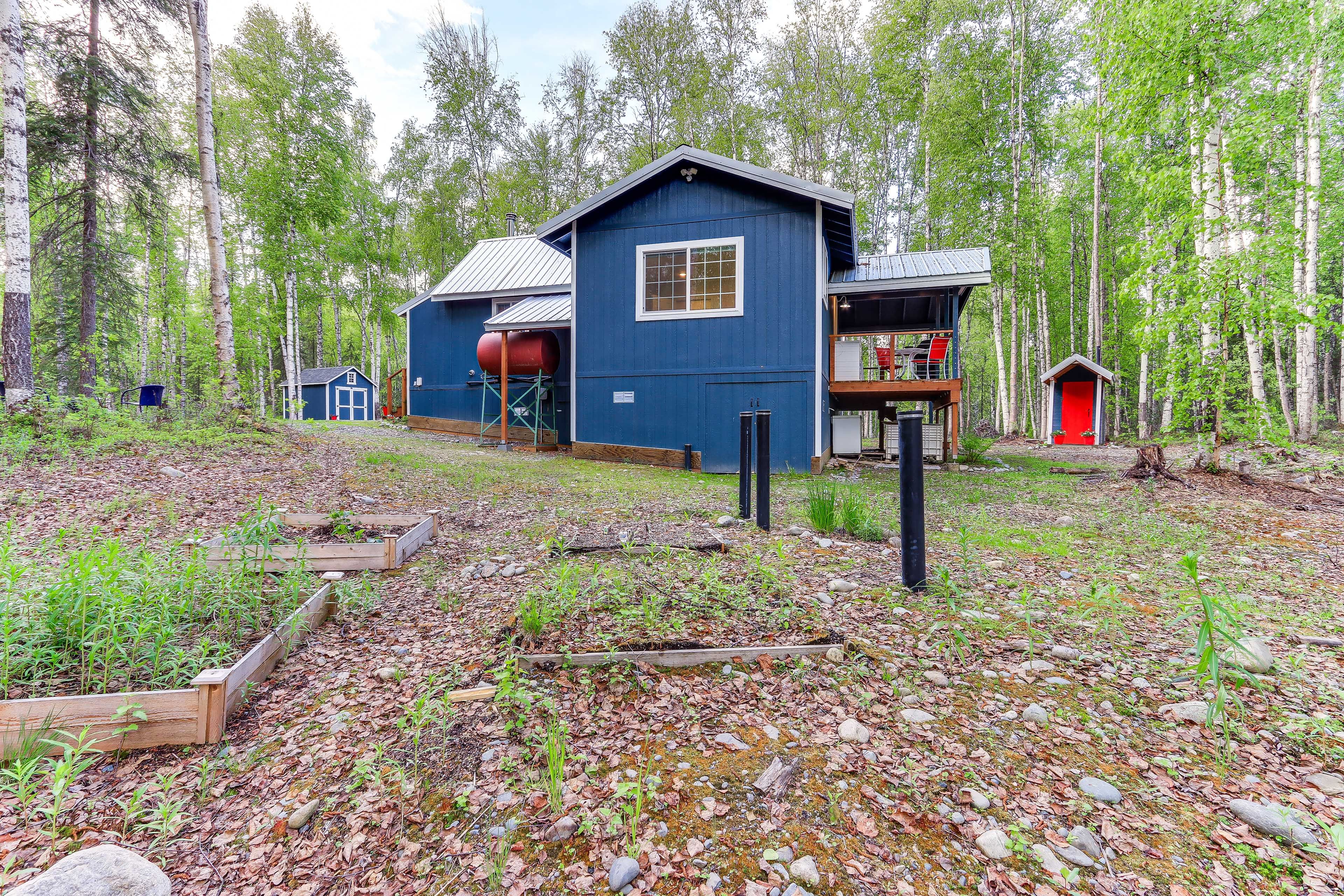 Yard | Fire Pit