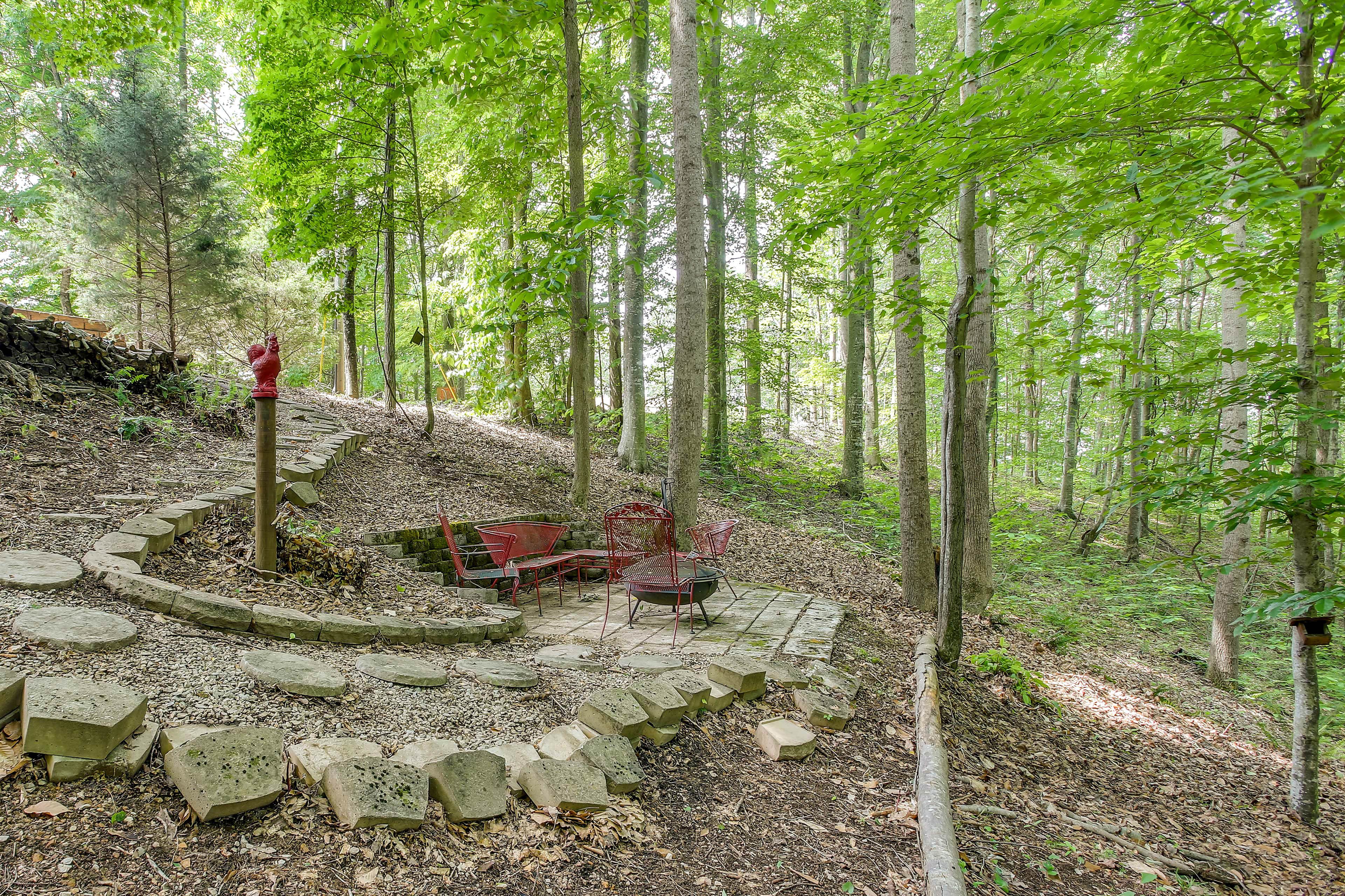 Image 25
