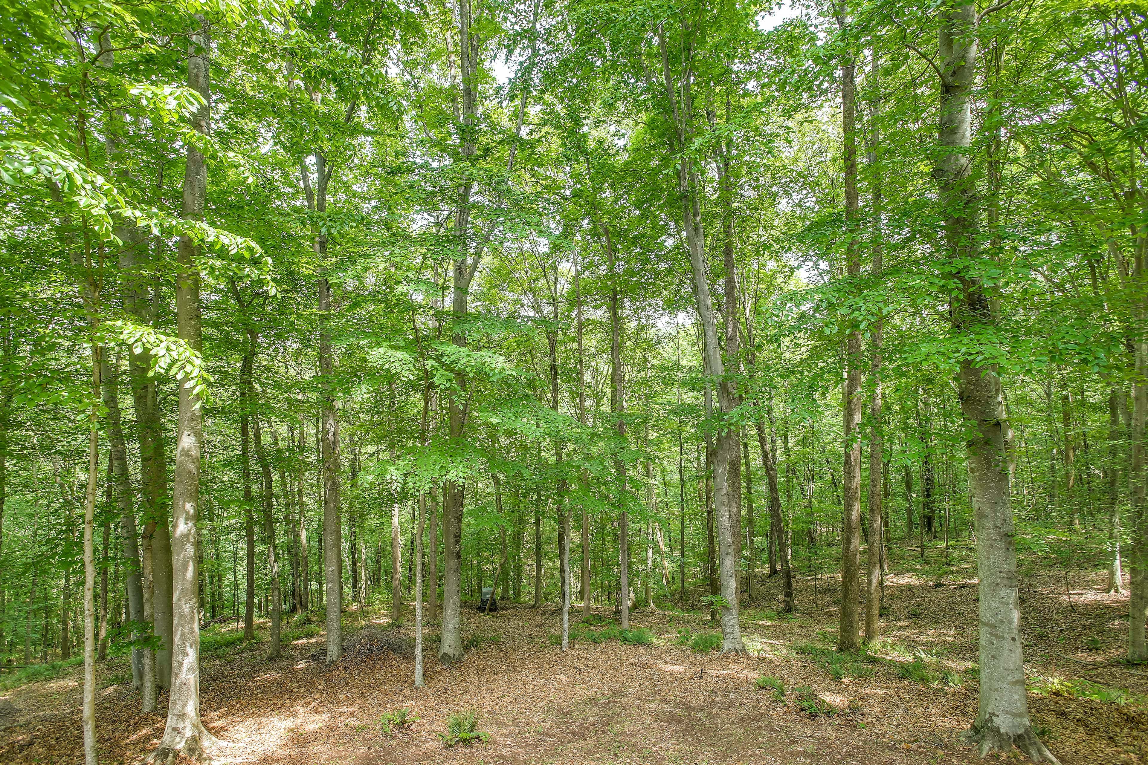 Surrounding Area