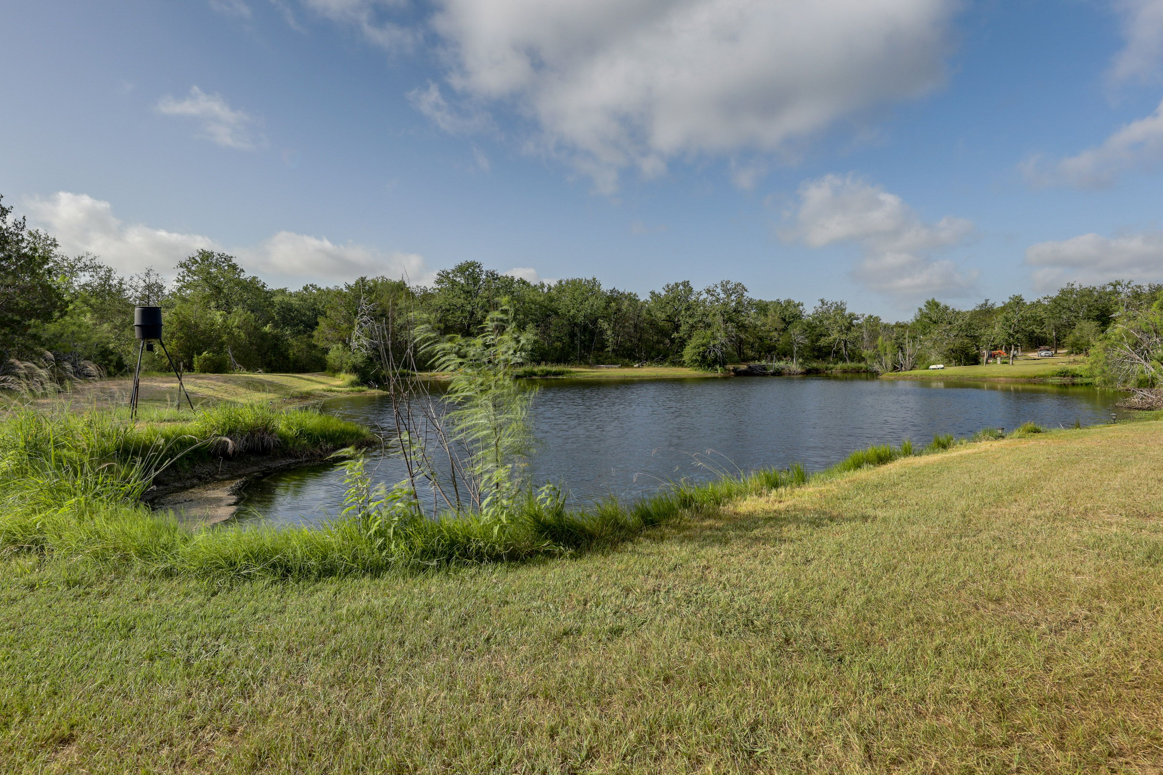 Pond | Catch and Release Fishing On-Site