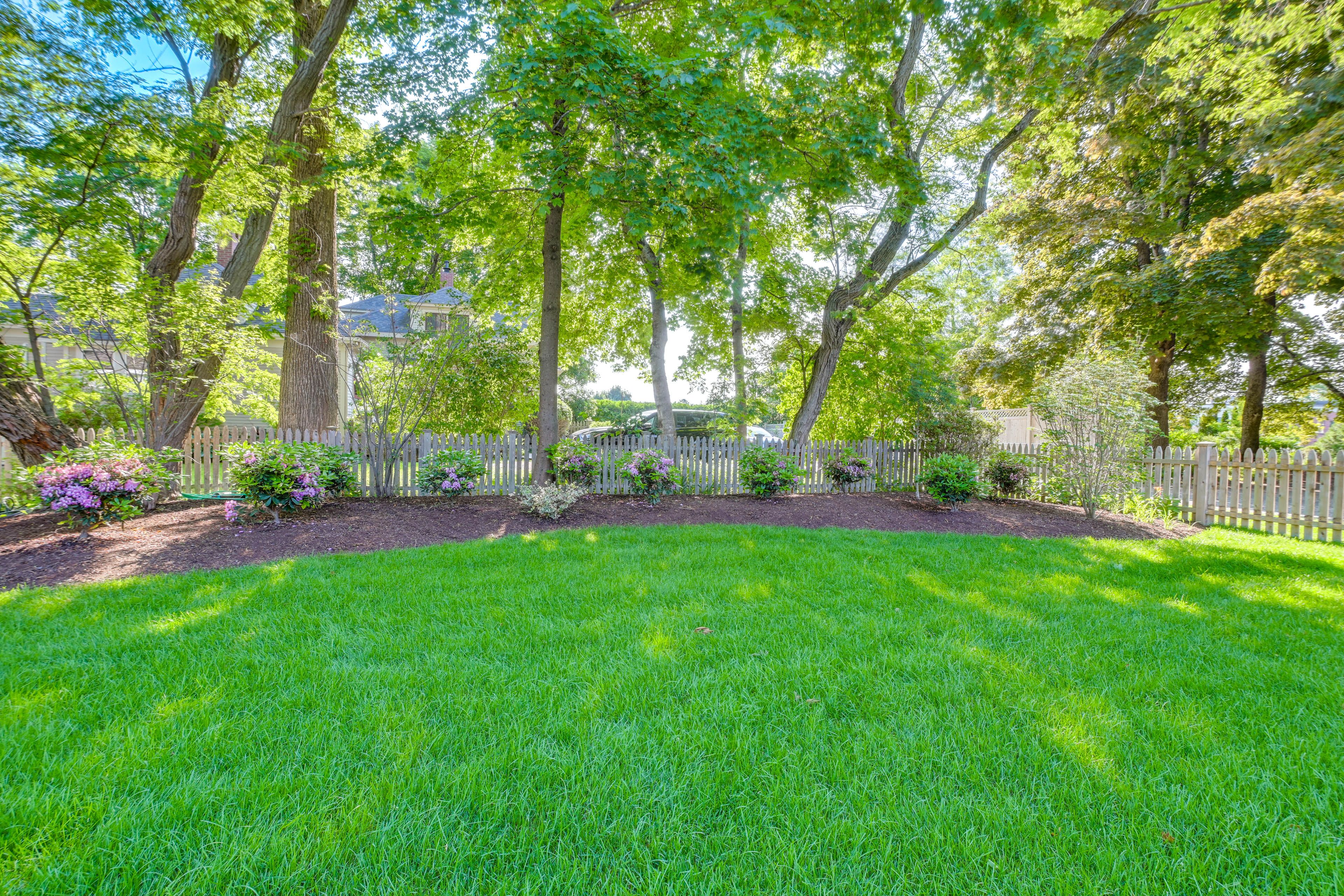 Fenced Yard