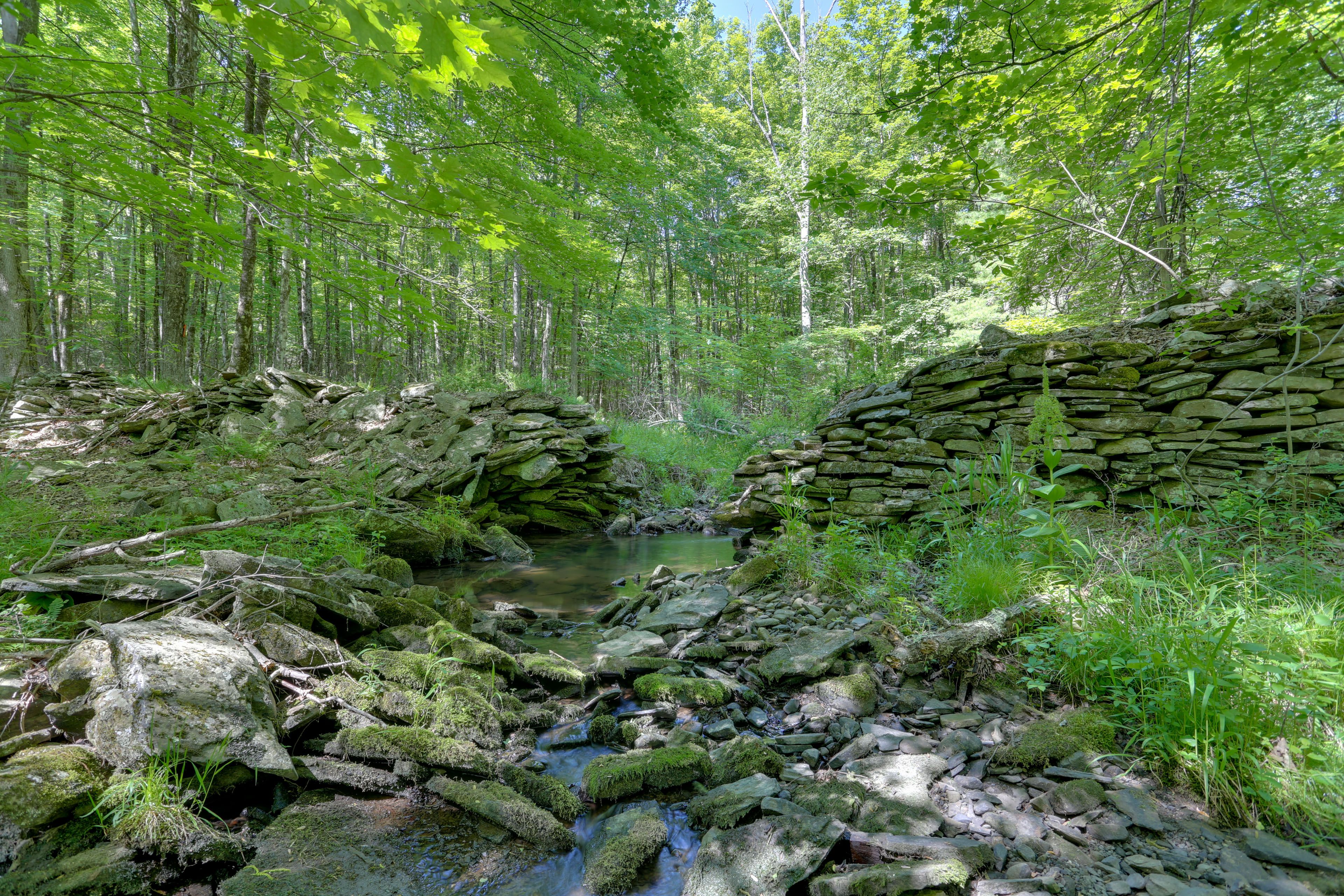 Cabin Exterior | Woodlands & Creek Access