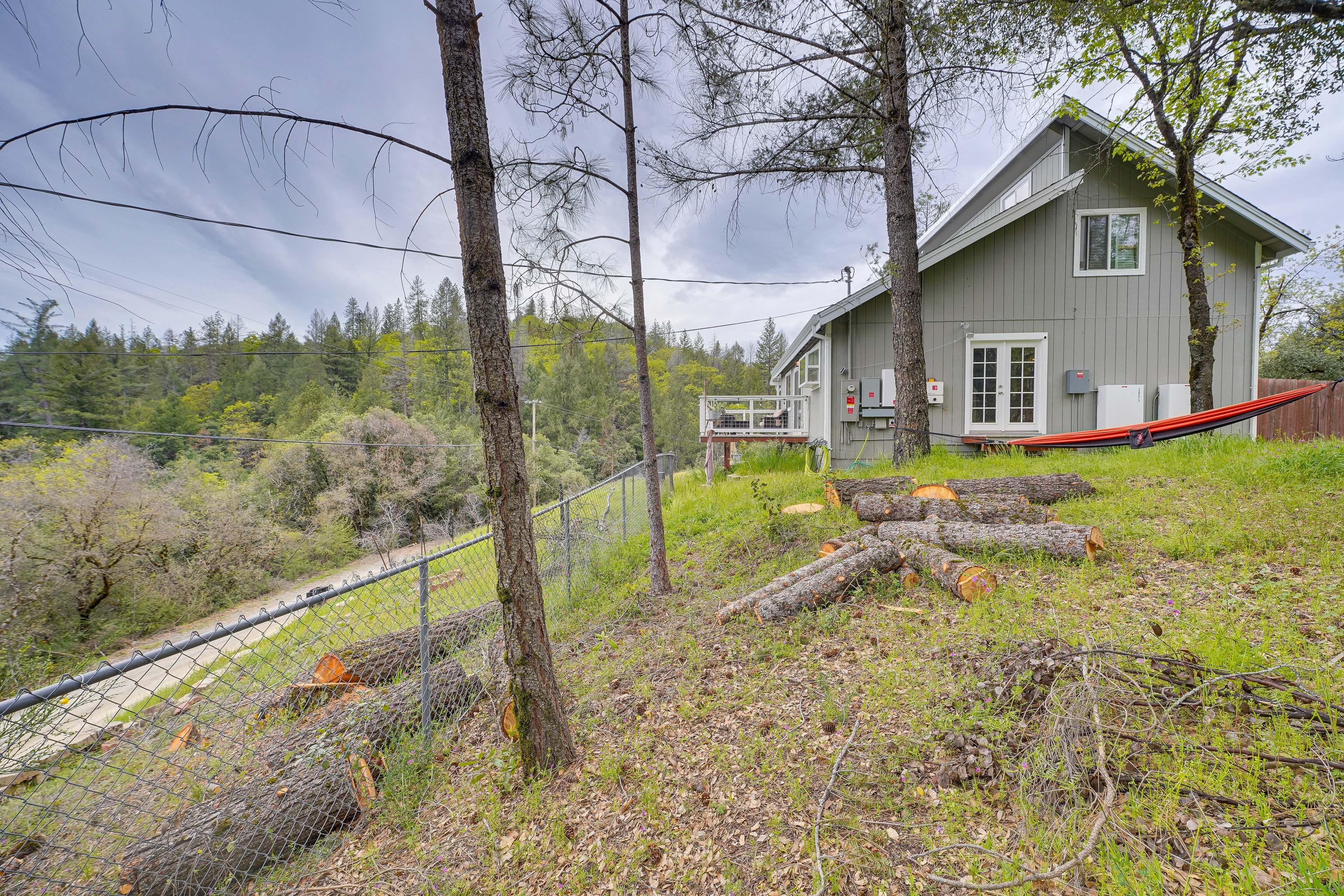 Wooded Yard | Hammock