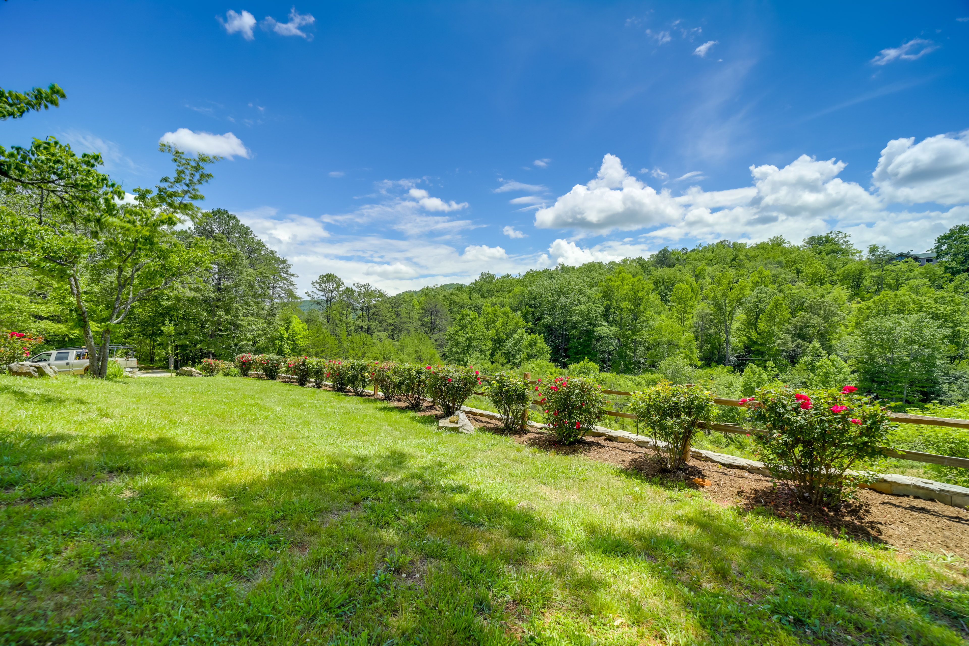 Yard Area