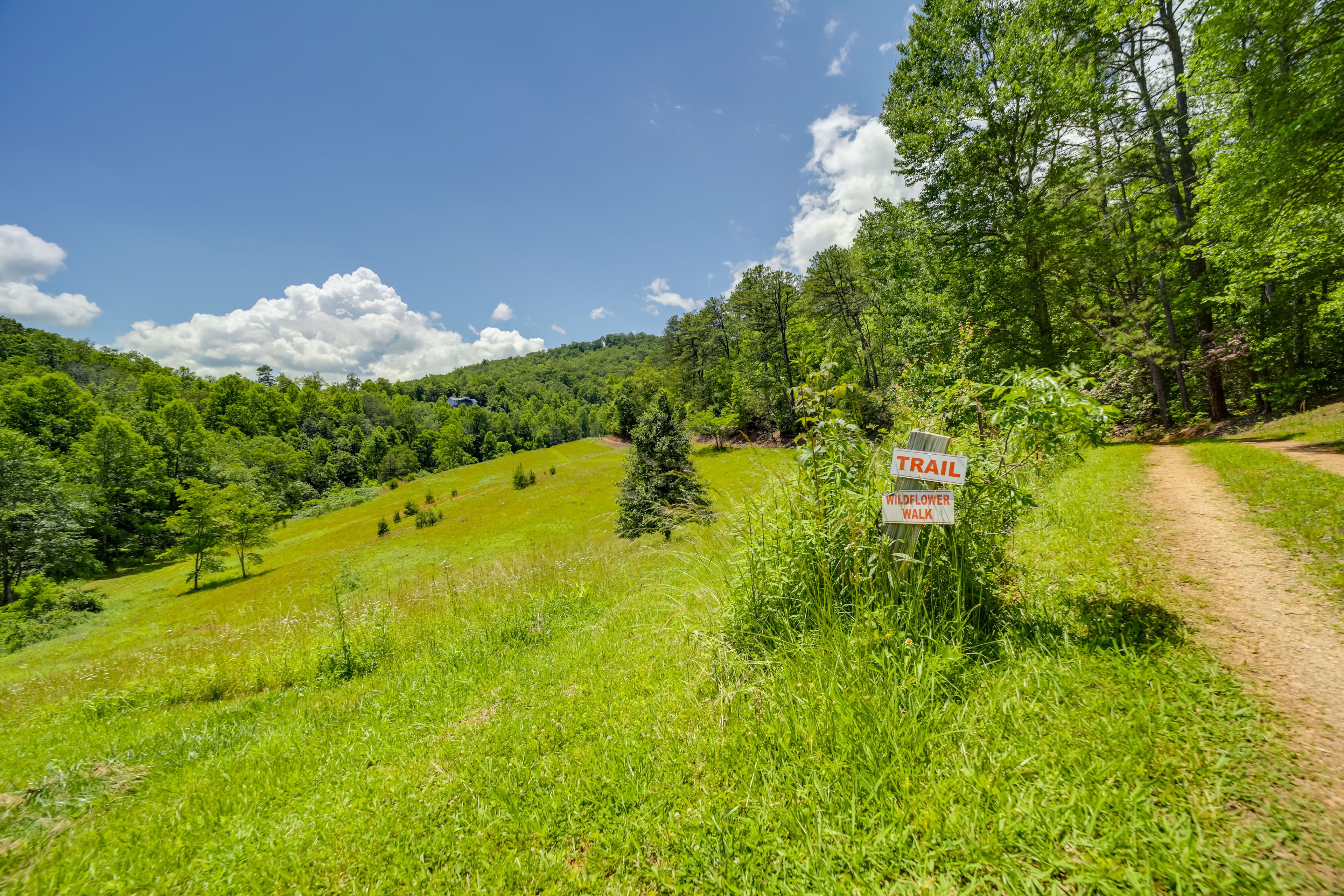 Wildflower Field On-Site