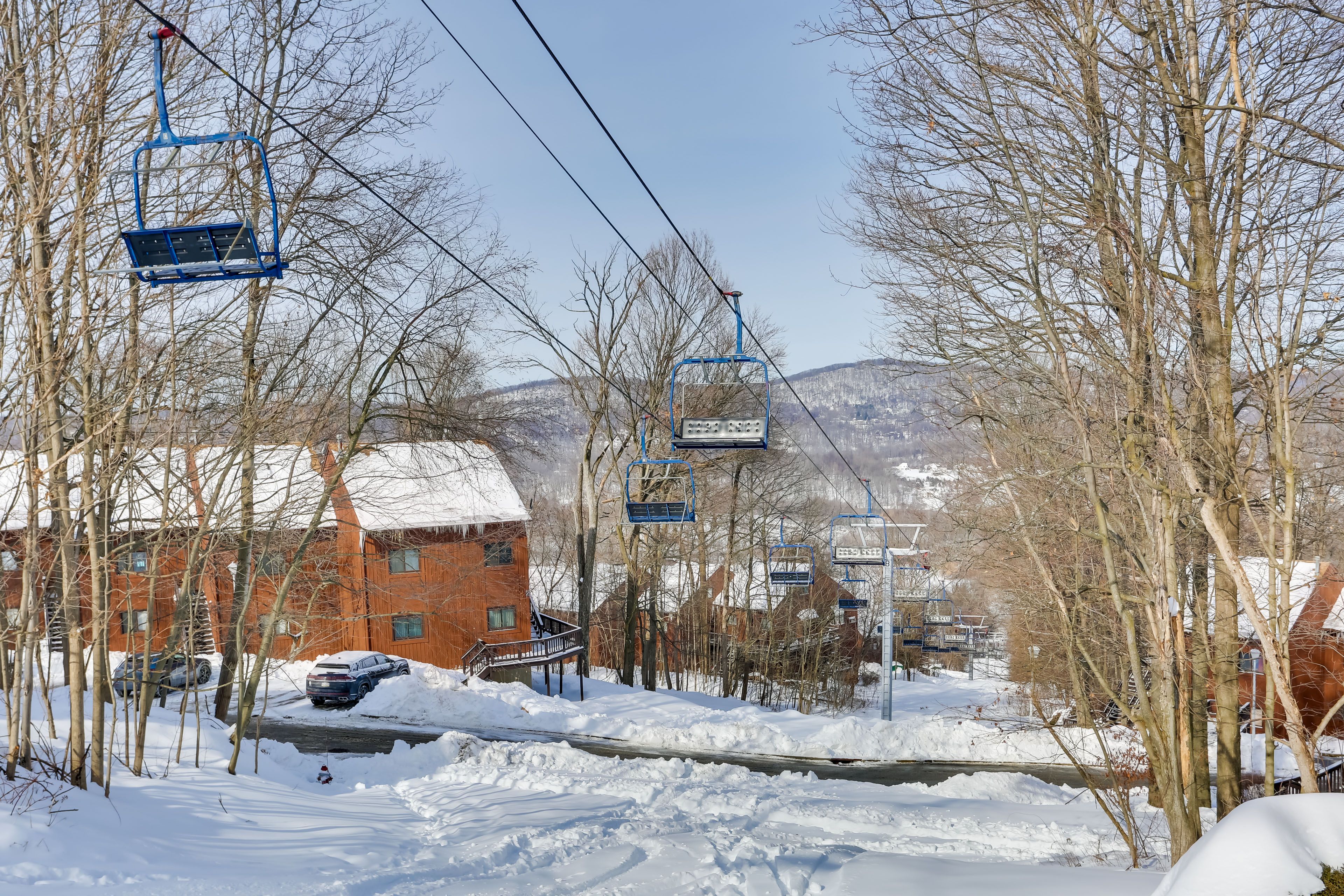 Winter Views