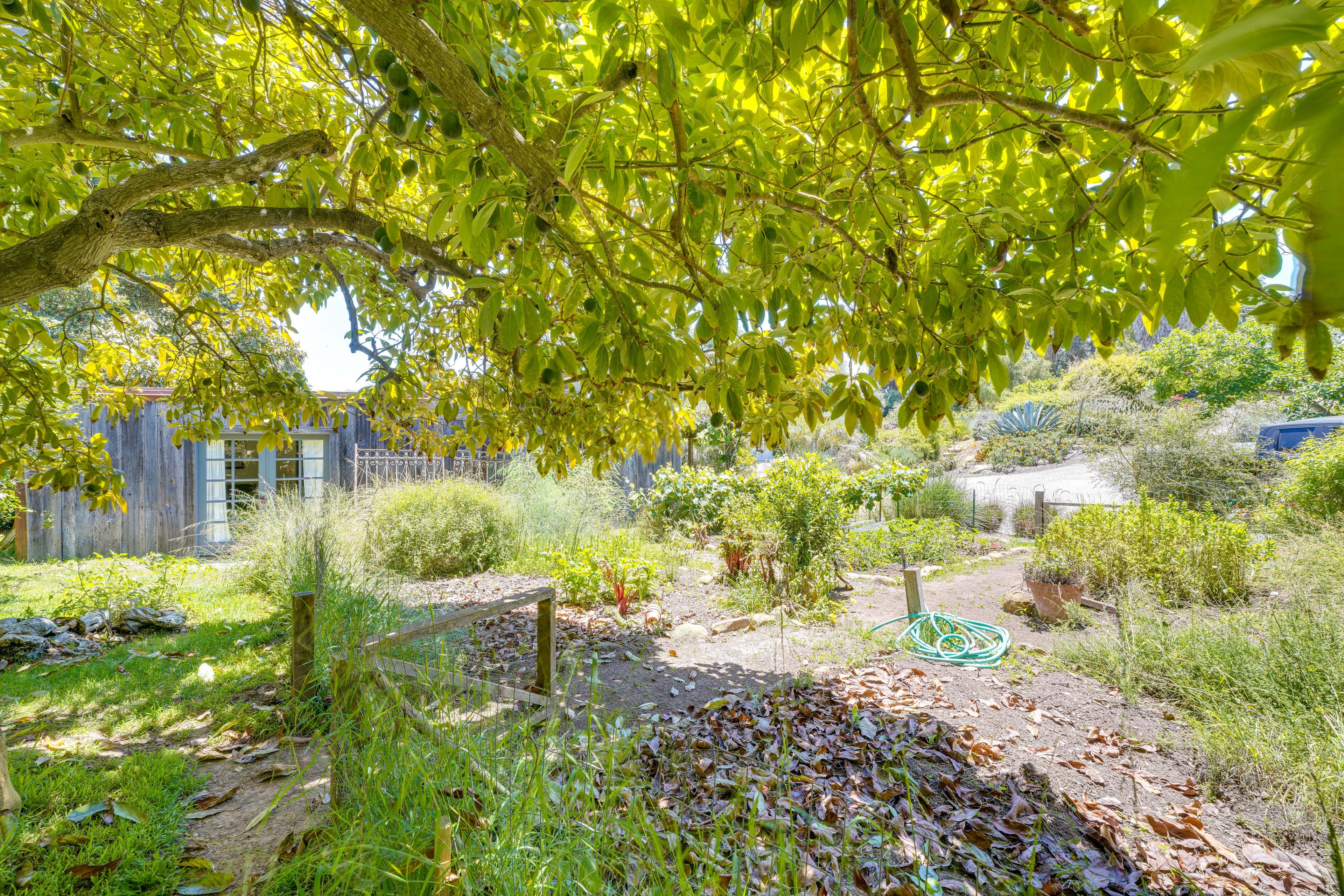 Surrounding Gardens