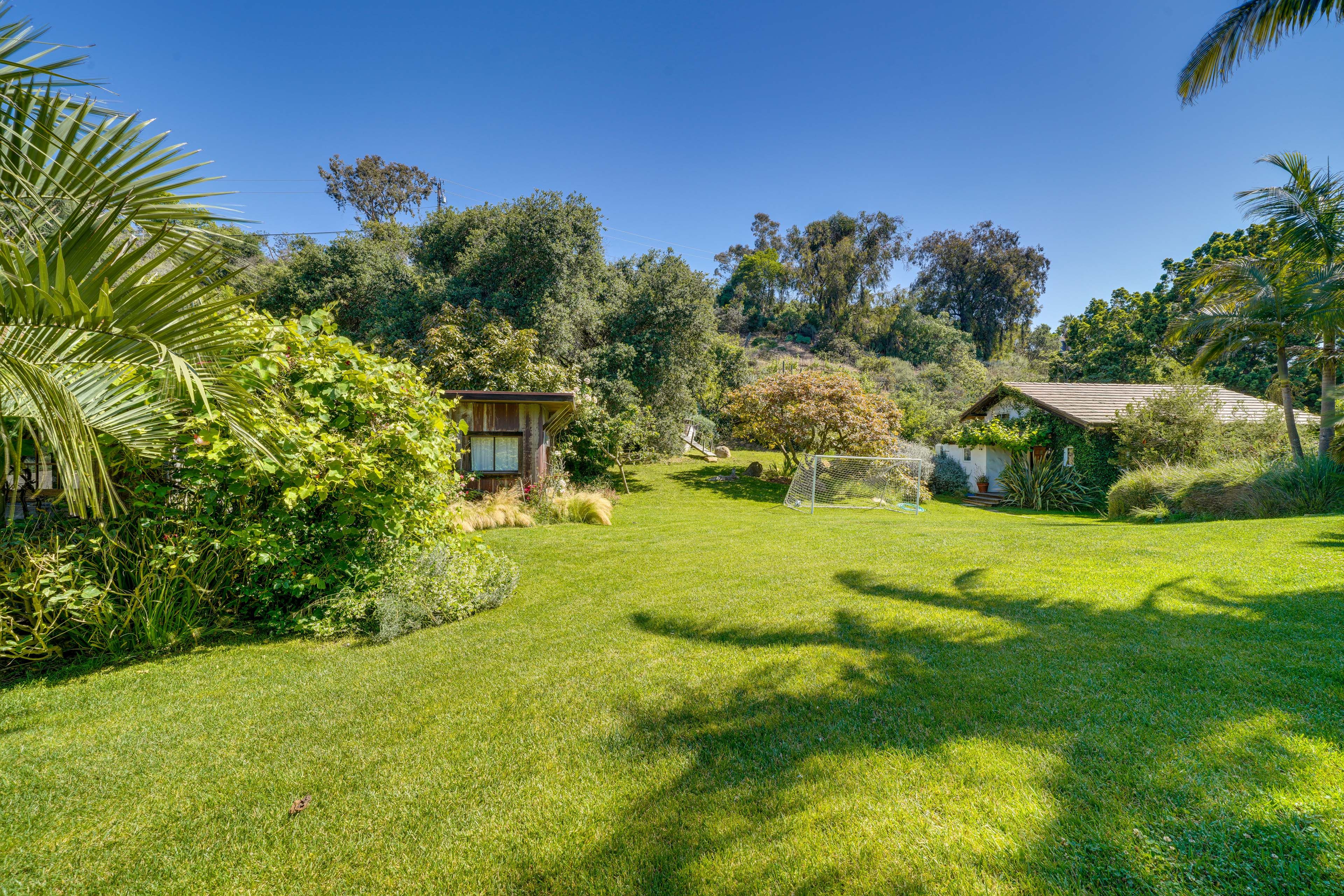 Surrounding Yard