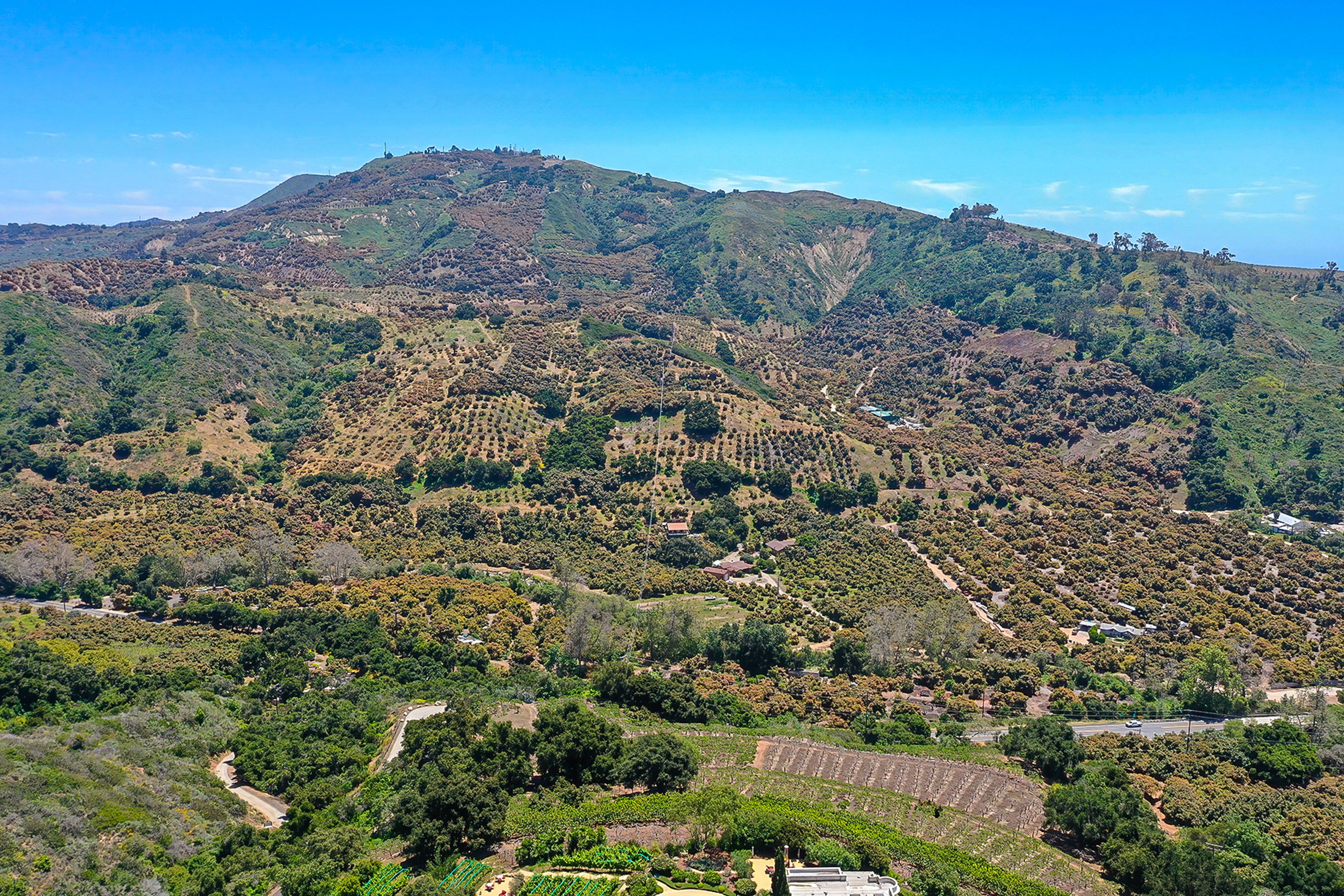 Surrounding Scenery