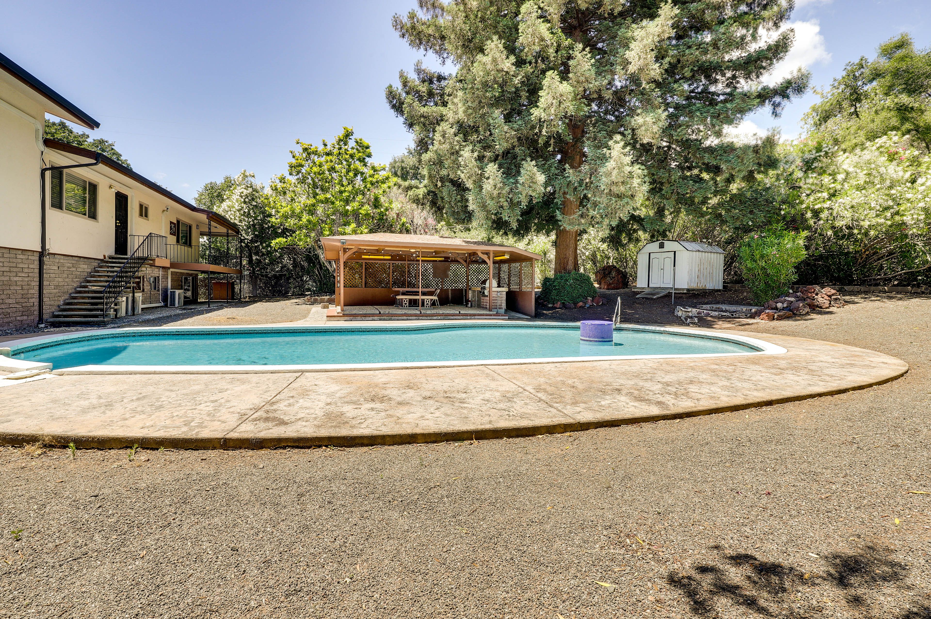 Shared Backyard