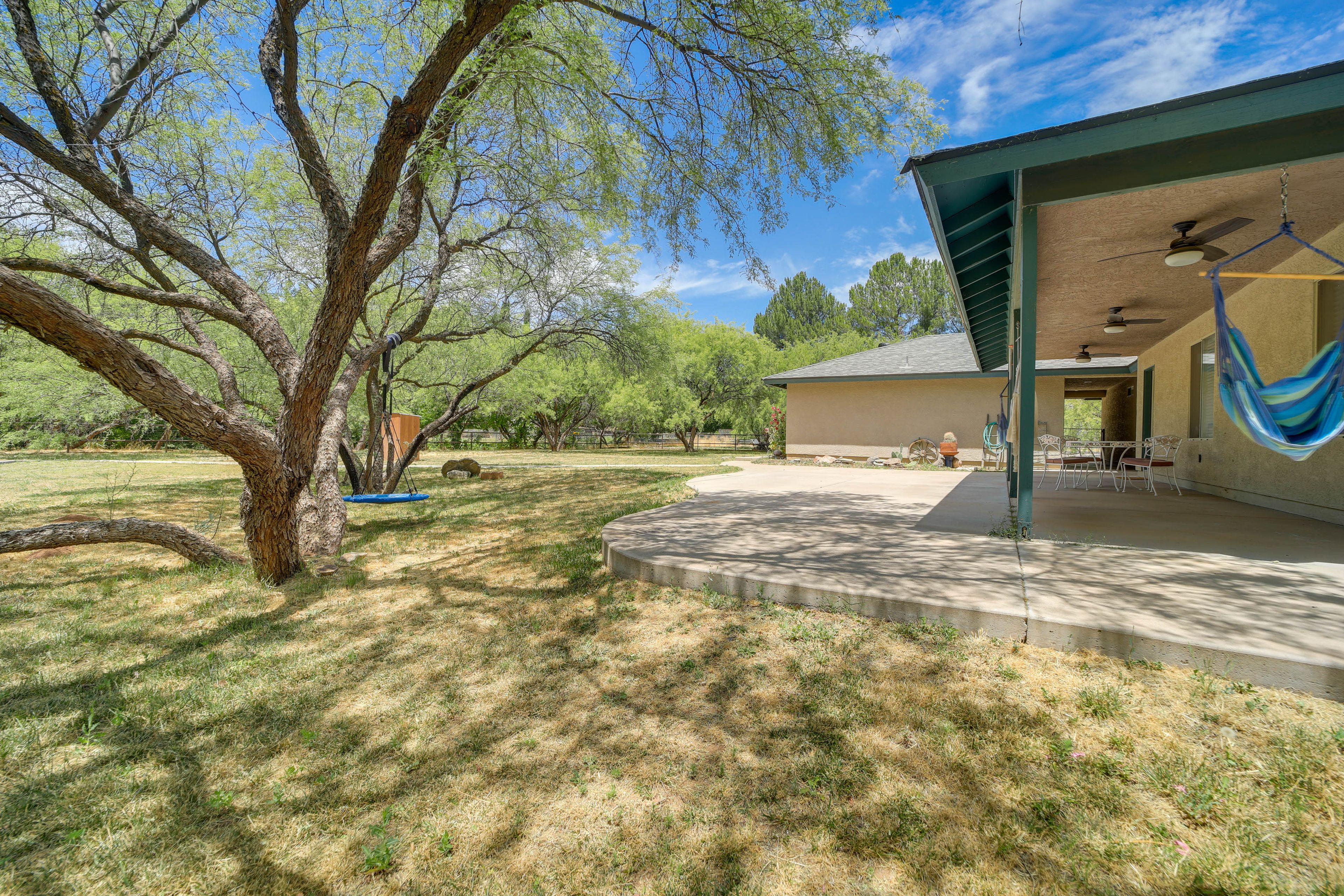 Fenced Backyard | Tree Swing