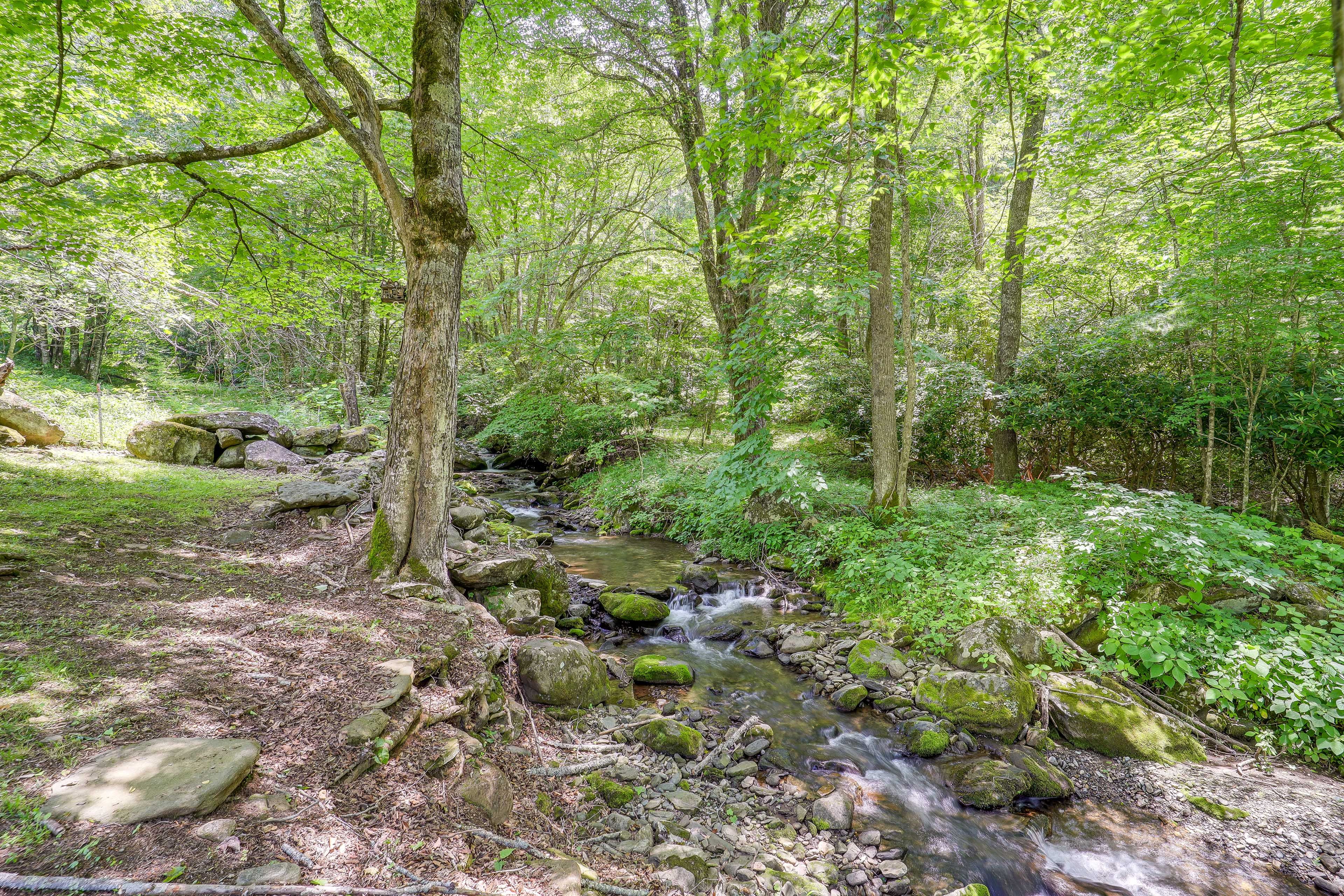 Blue Ribbon Trout Stream (On-Site)