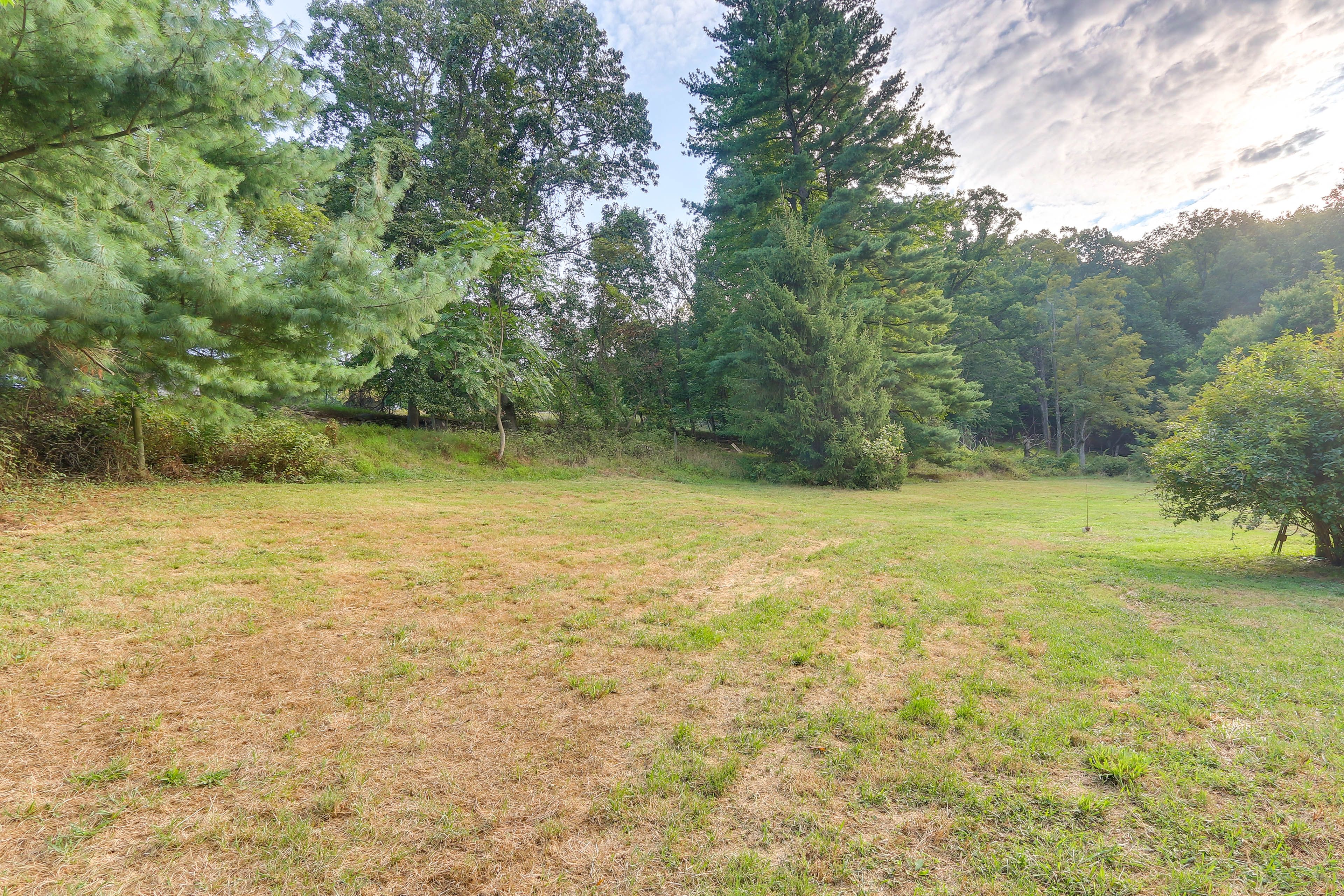 Yard Area