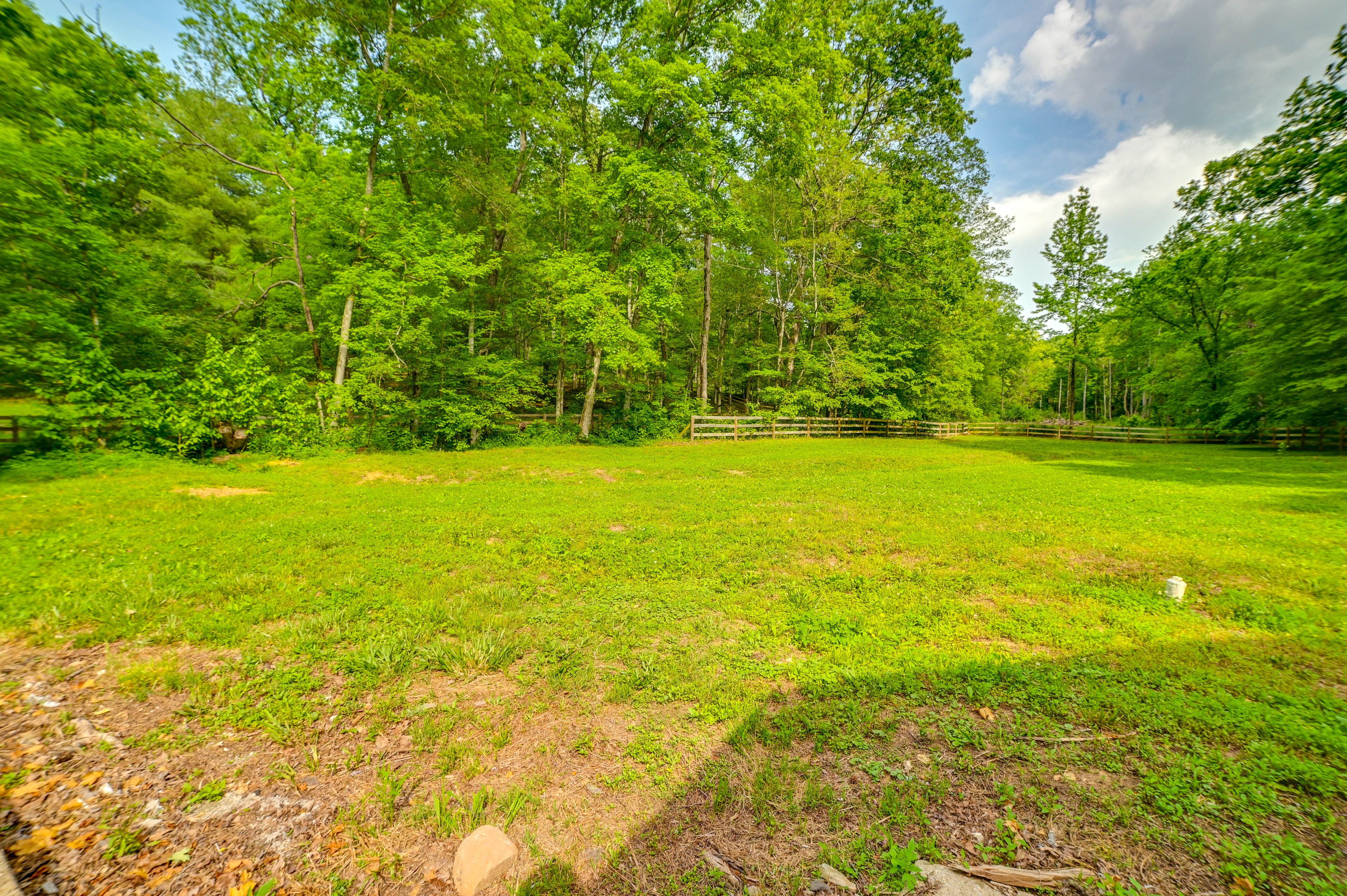 Private Yard | Pet Friendly w/ Fee