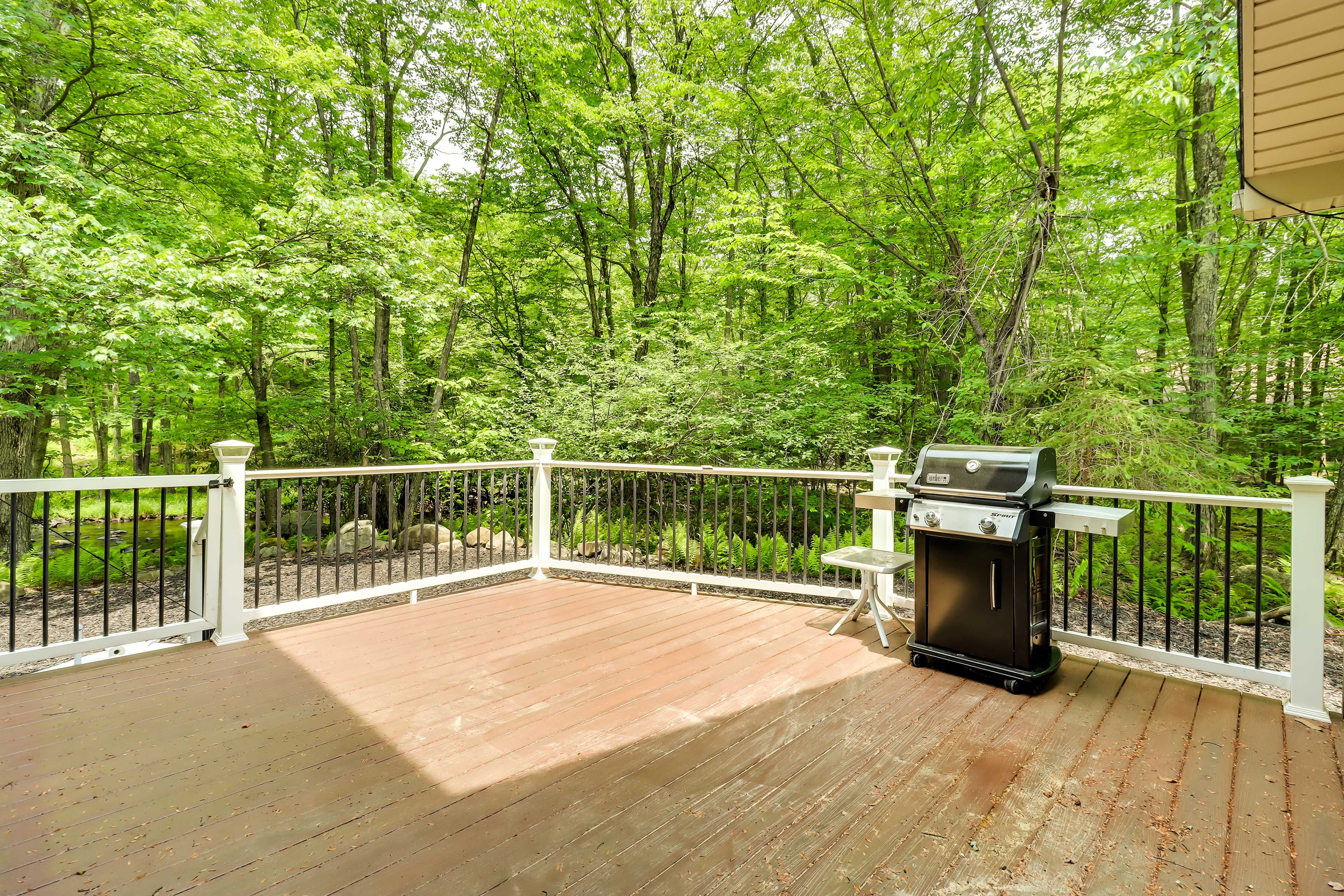 Deck | Gas Grill
