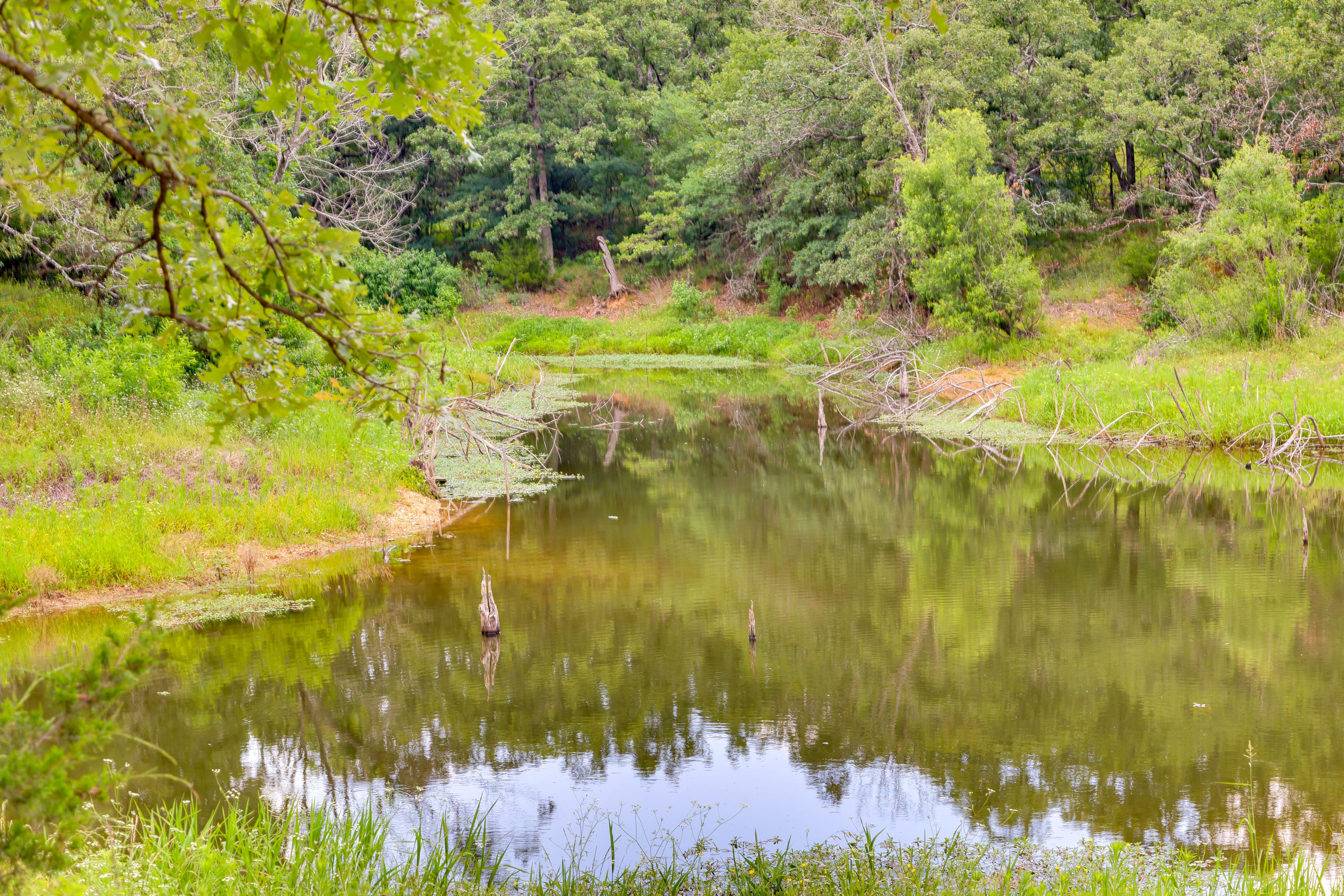 Private Bass Pond (Catch & Release)