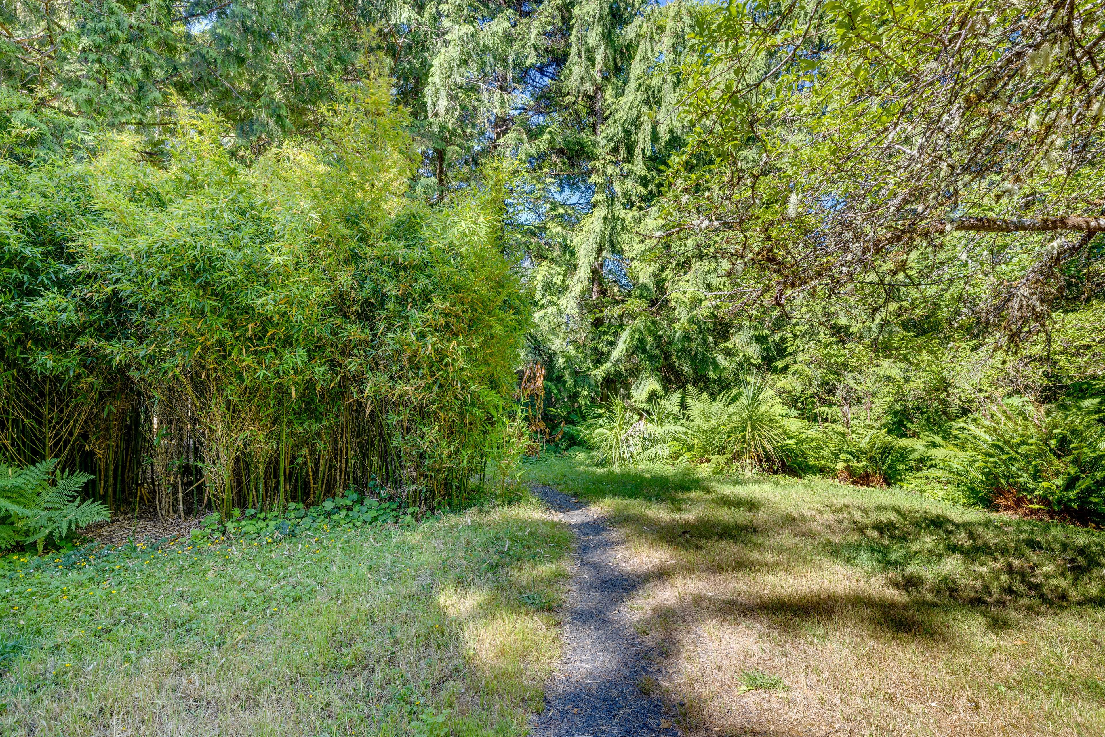 Walking Path to Beach