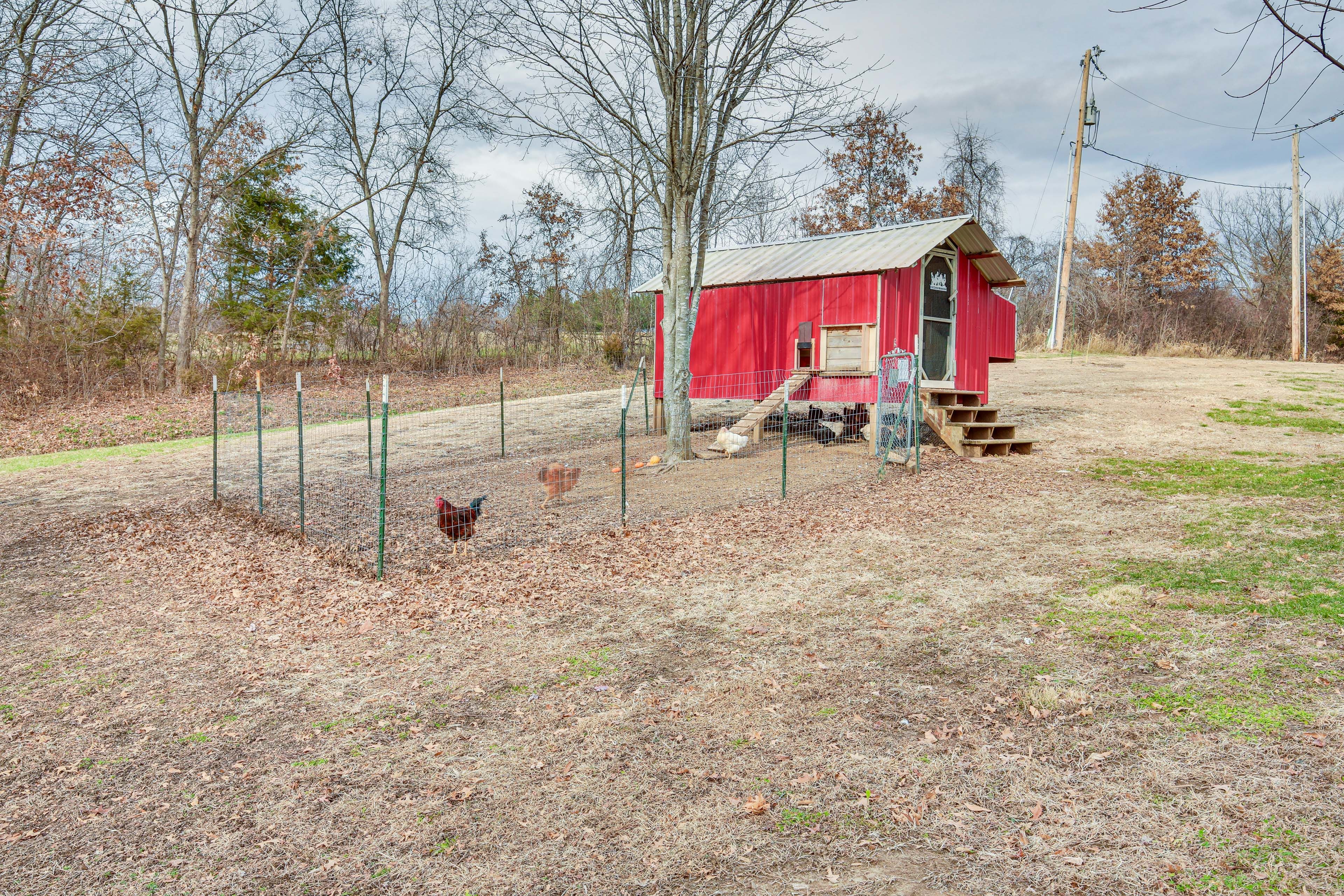 On-Site Chicken Coop
