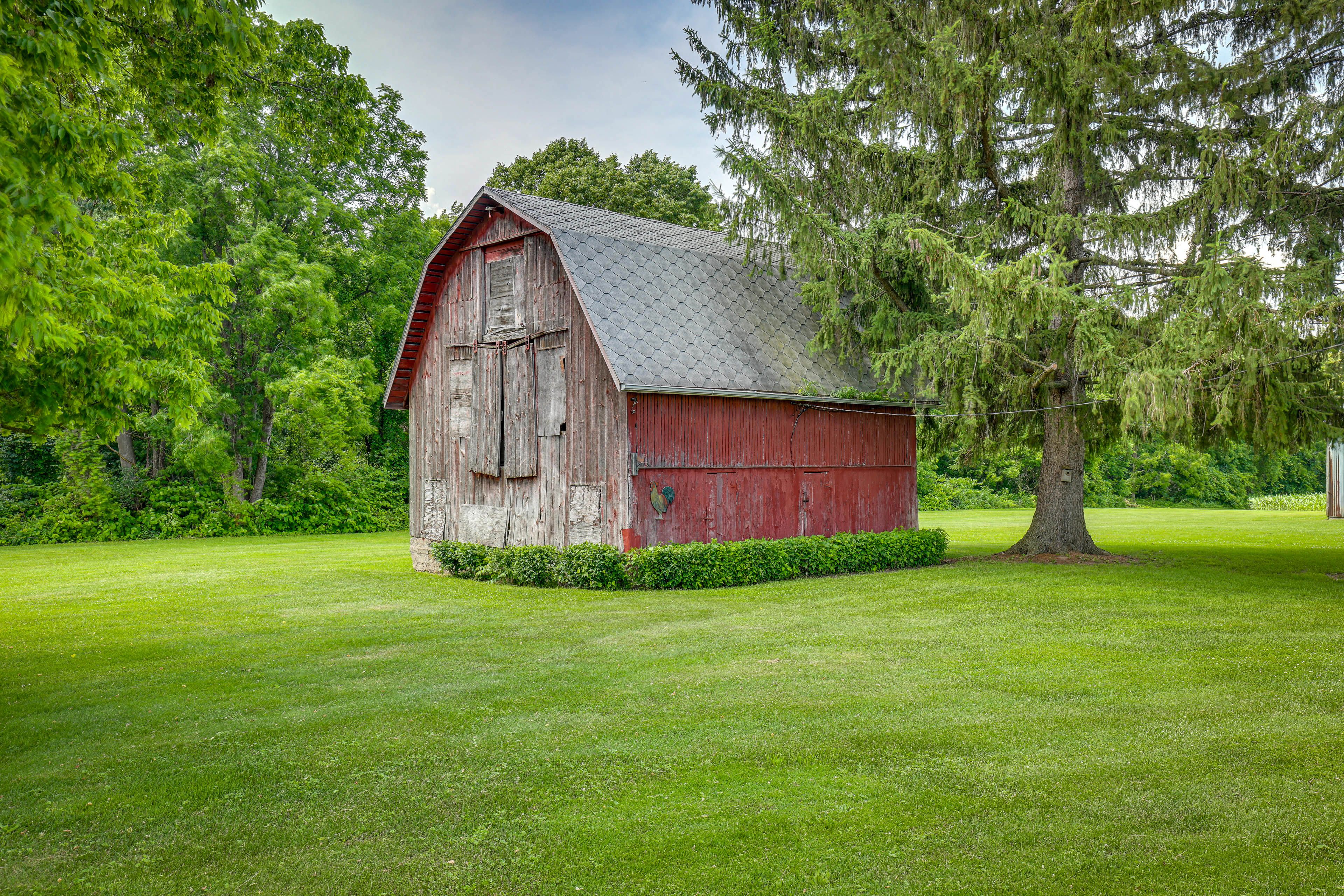 Image 27