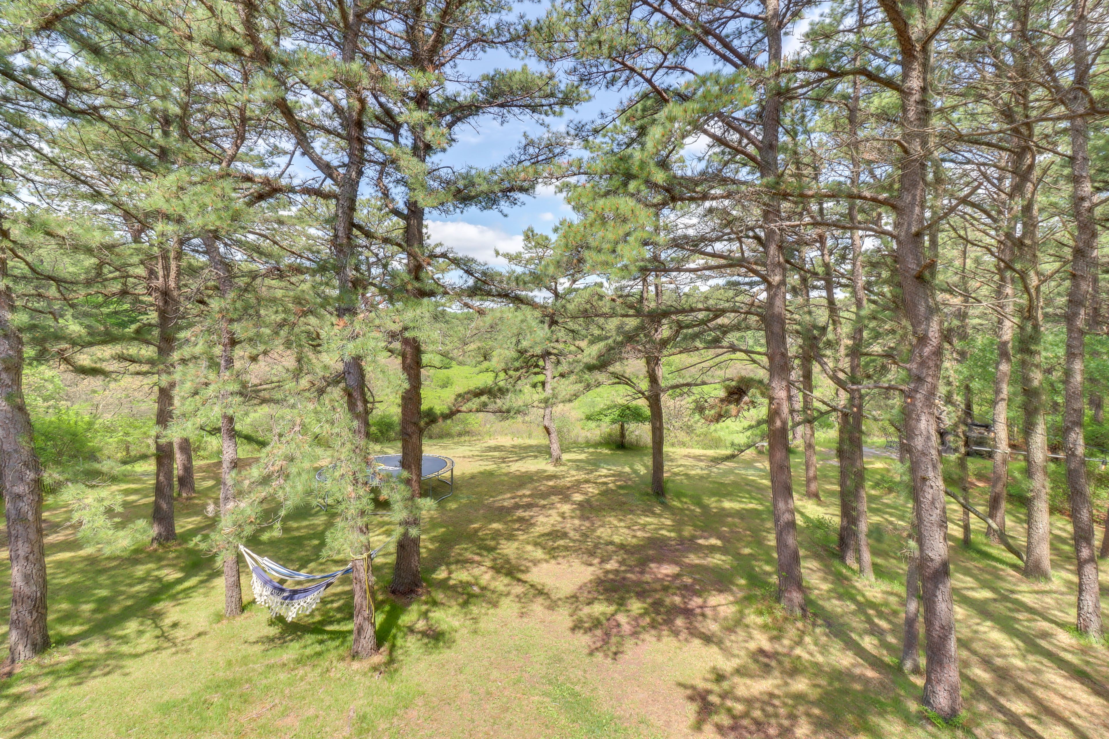 View From Deck