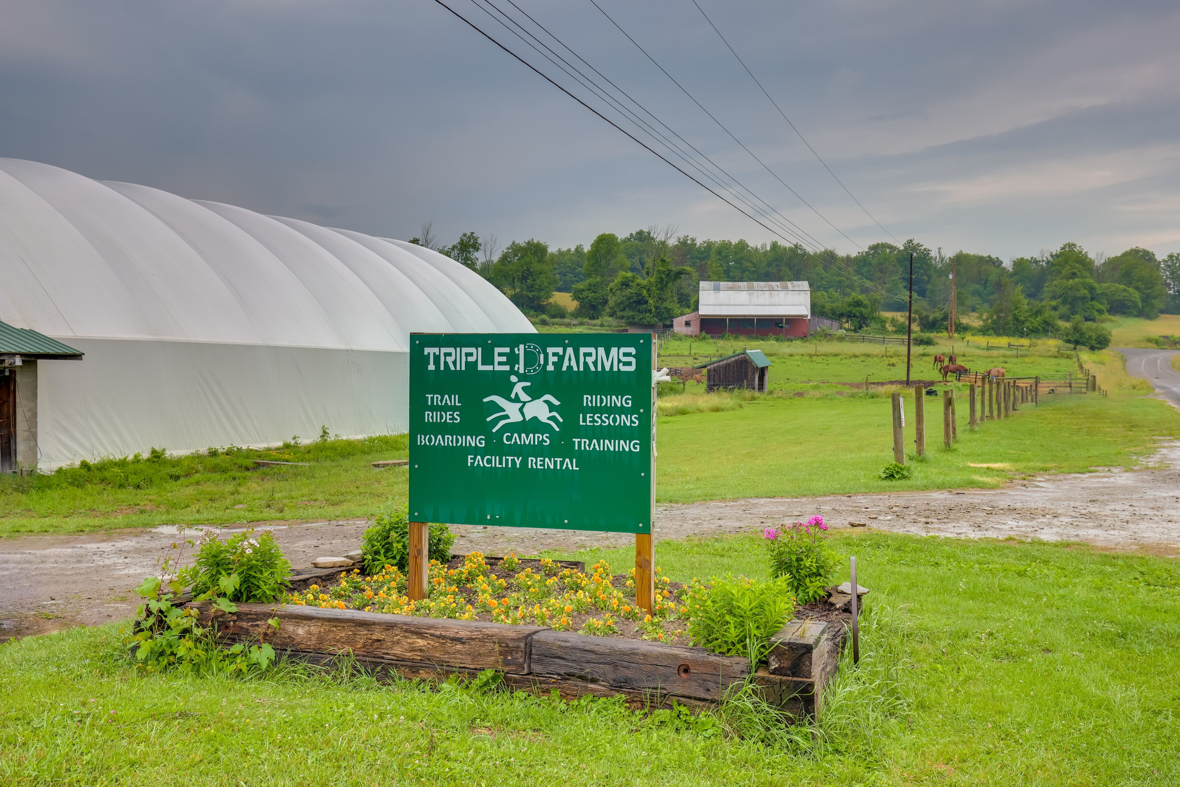 Horse Facility