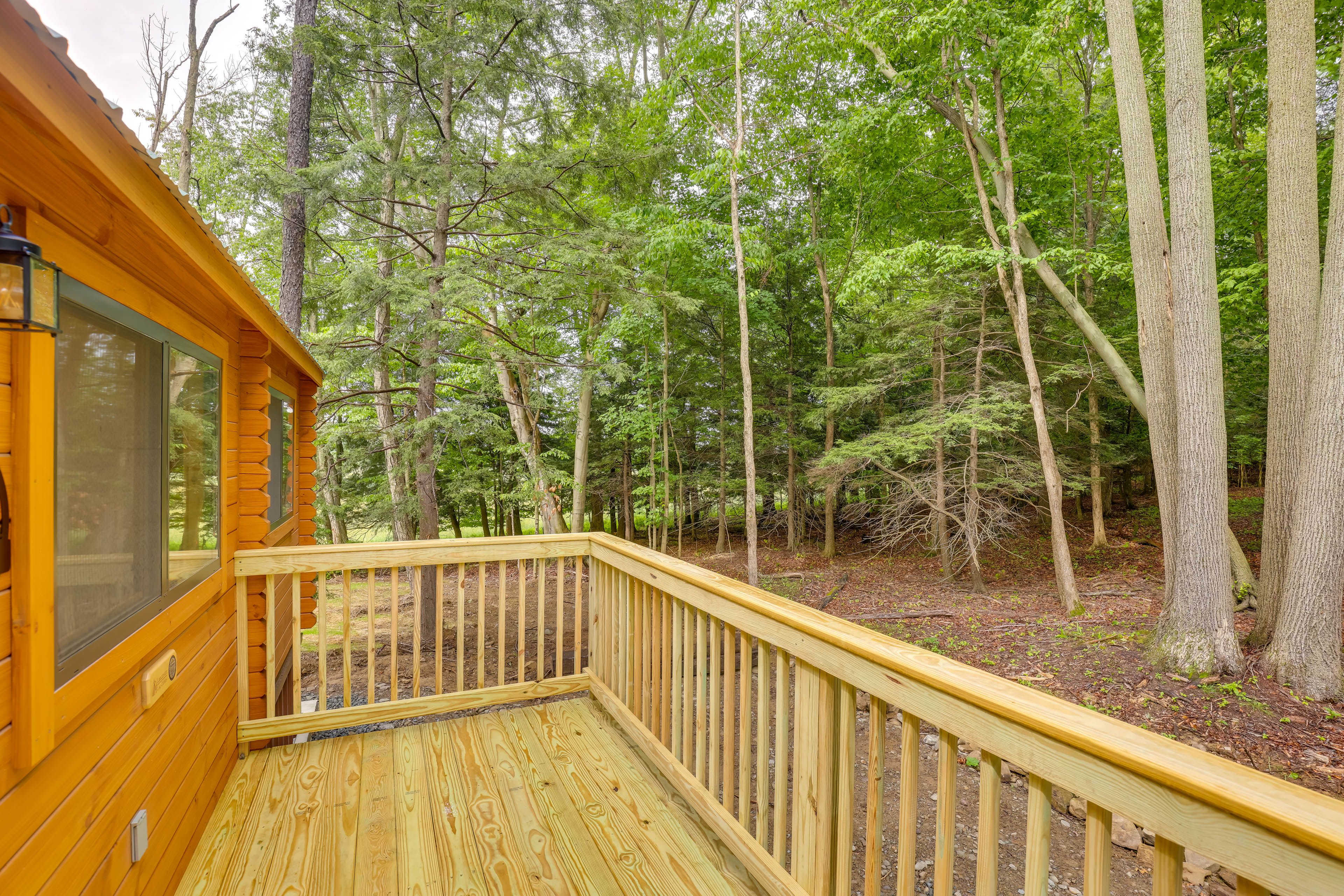 Deck