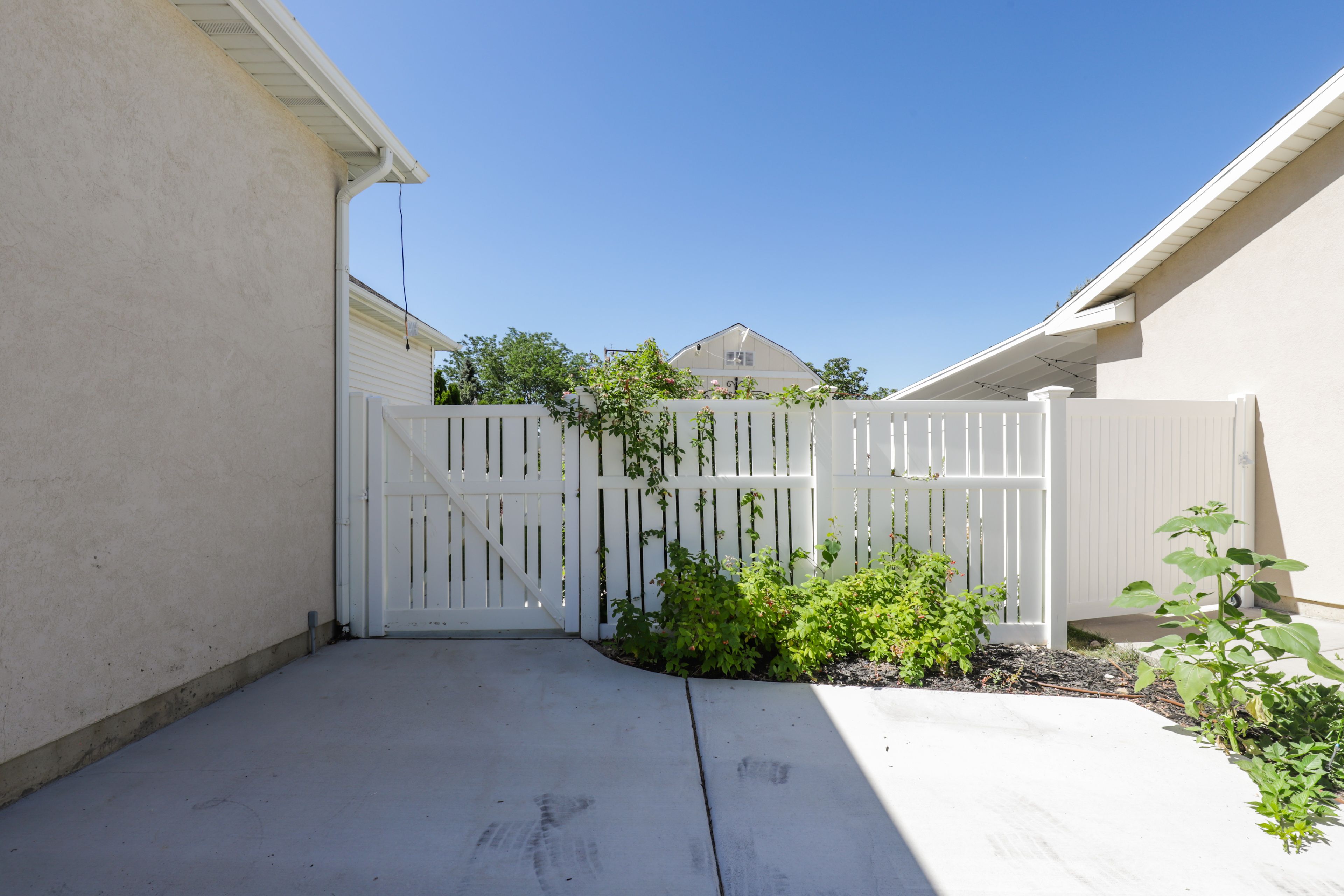 Parking | Driveway (Side of the House, 2 Vehicles)