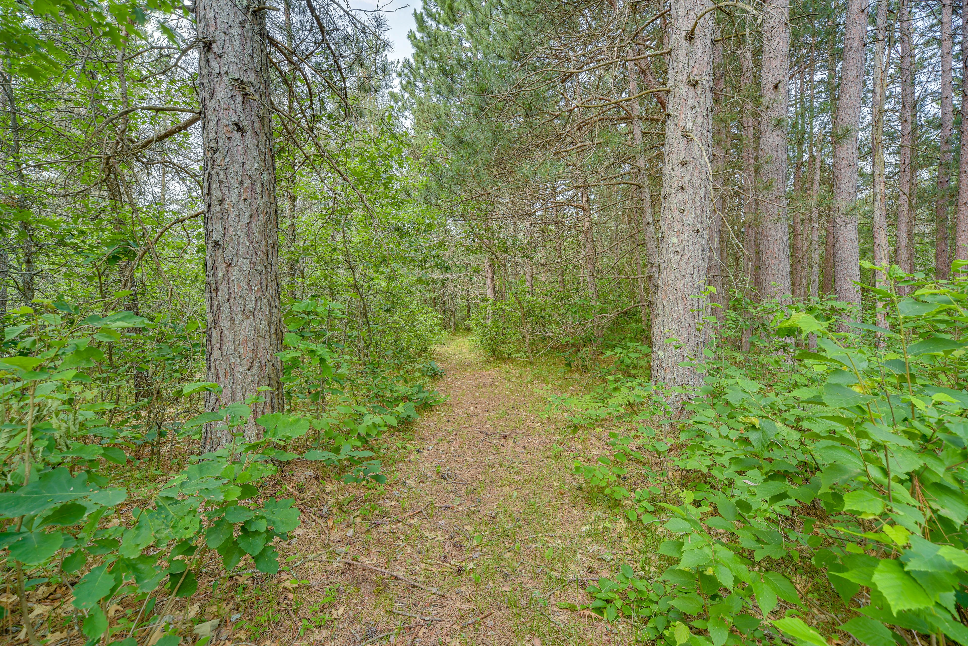 Nature Trails On-Site